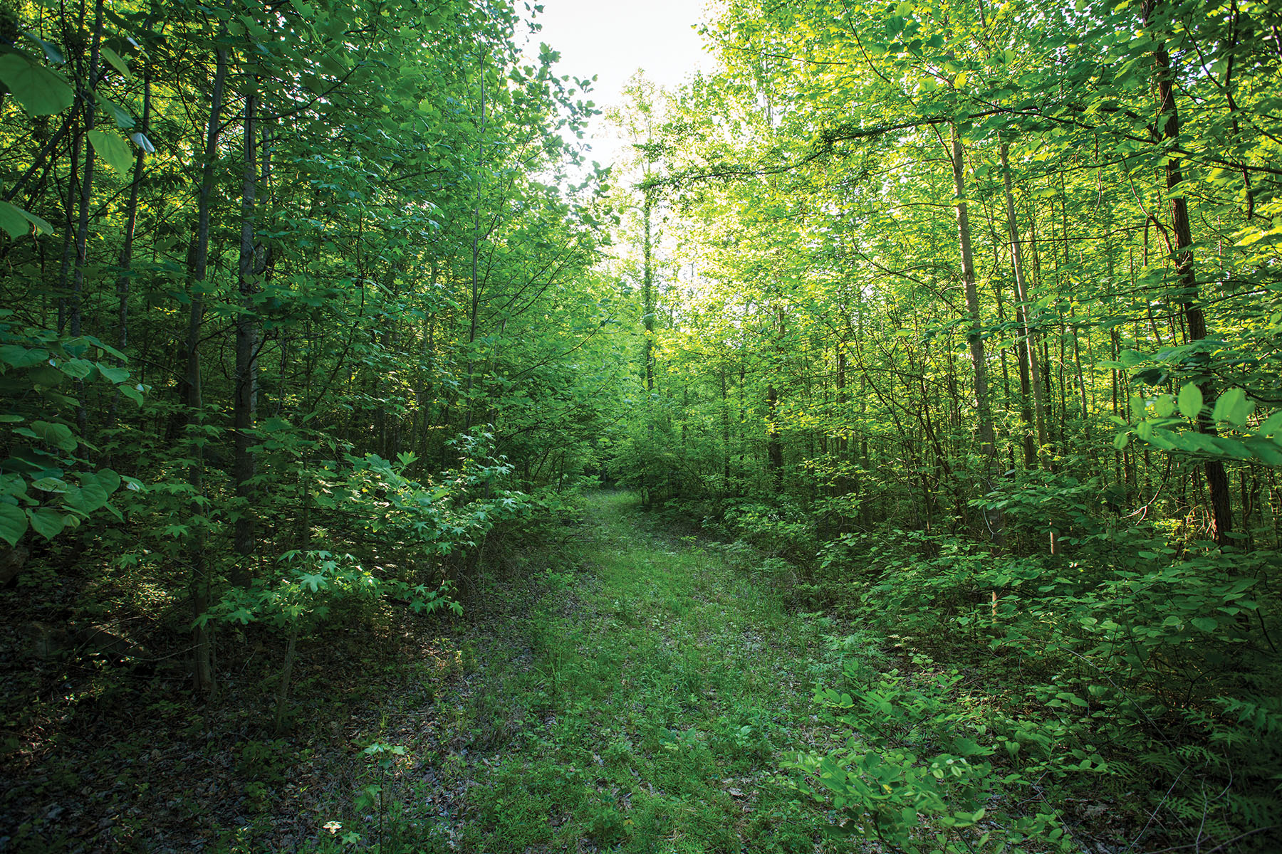 Round Cove property picture 101 of 111