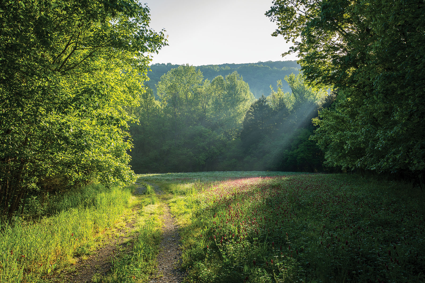 Round Cove property picture 10 of 111