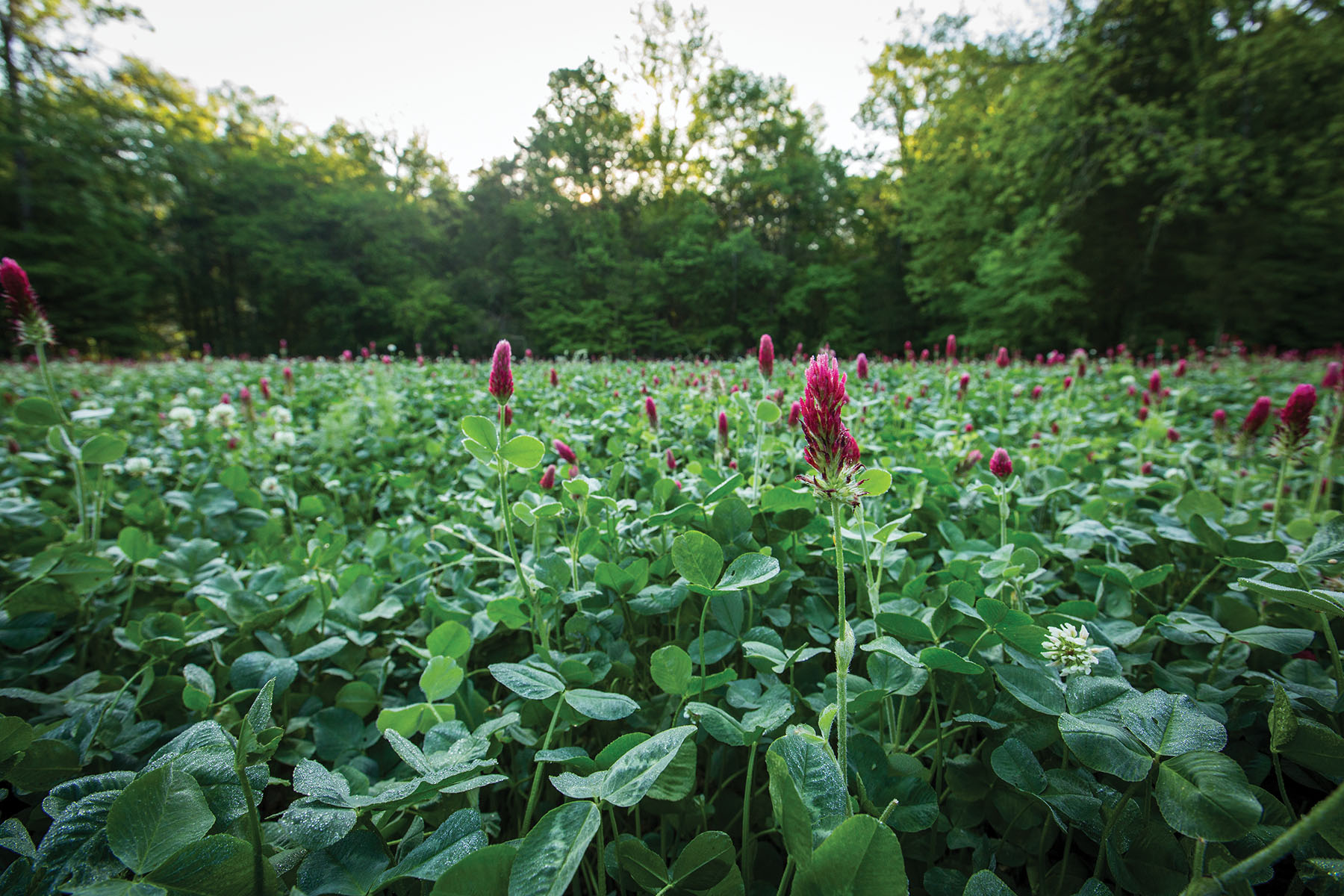 Round Cove property picture 91 of 111