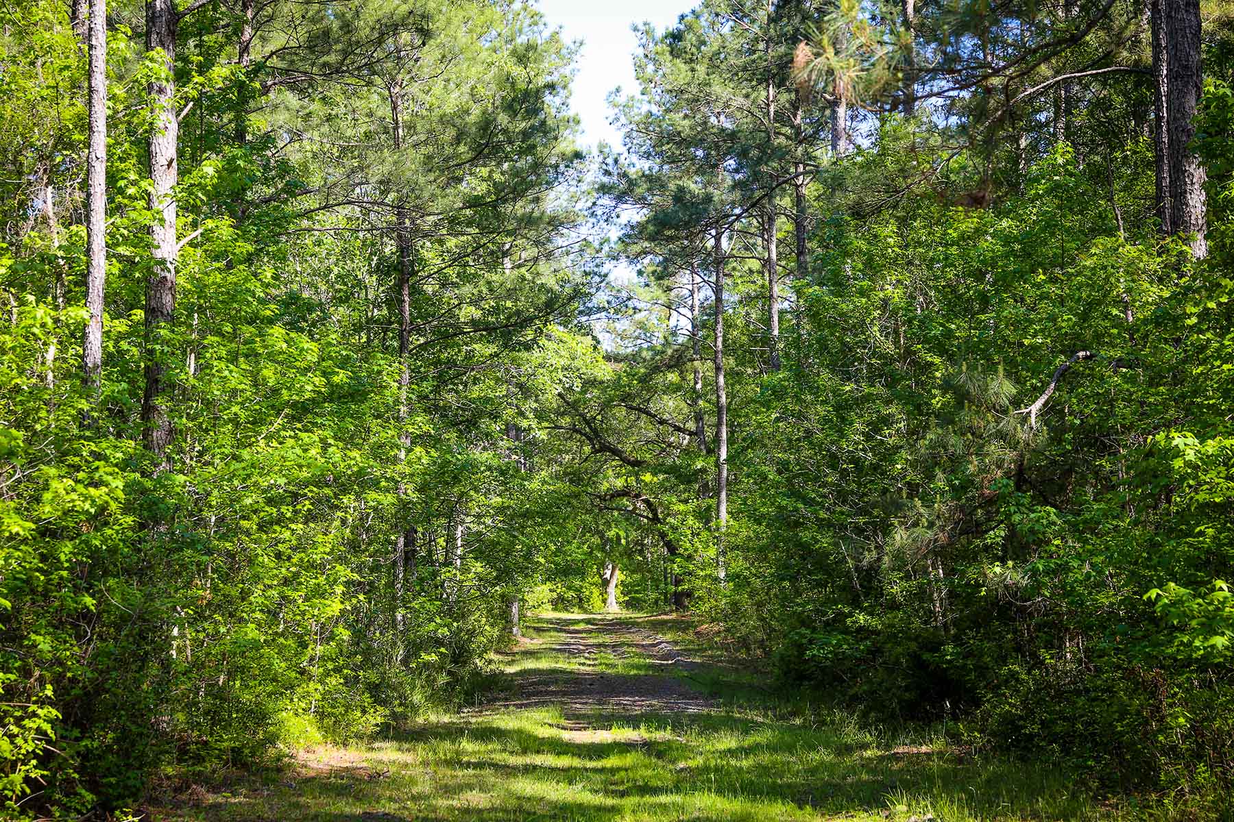 Brooks Hill property picture 2 of 11