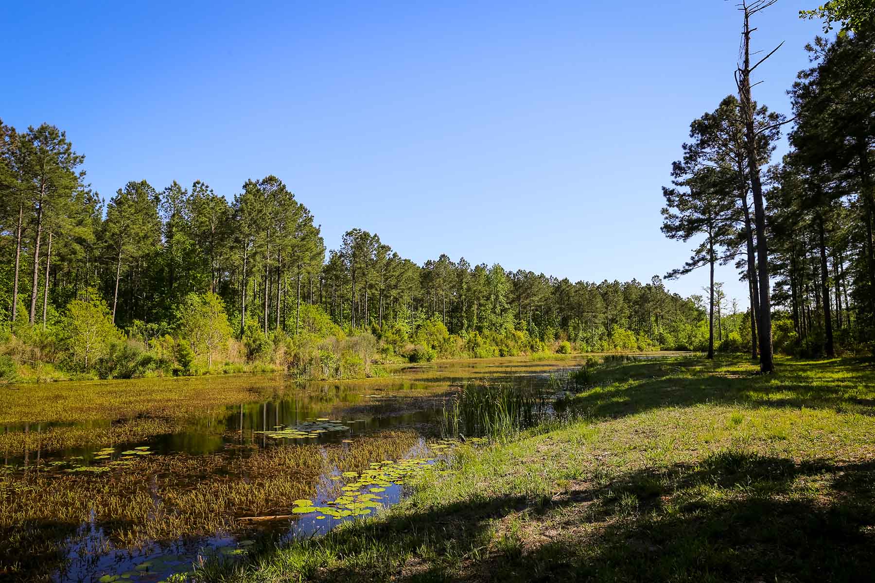 Brooks Hill property picture 3 of 11
