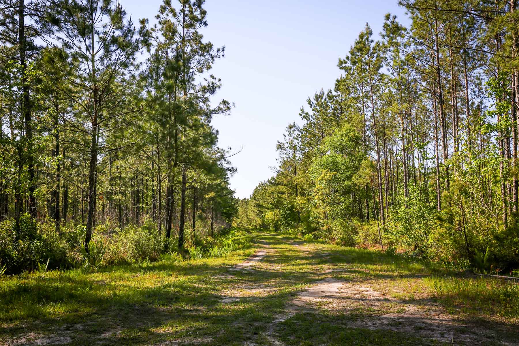 Brooks Hill property picture 4 of 11