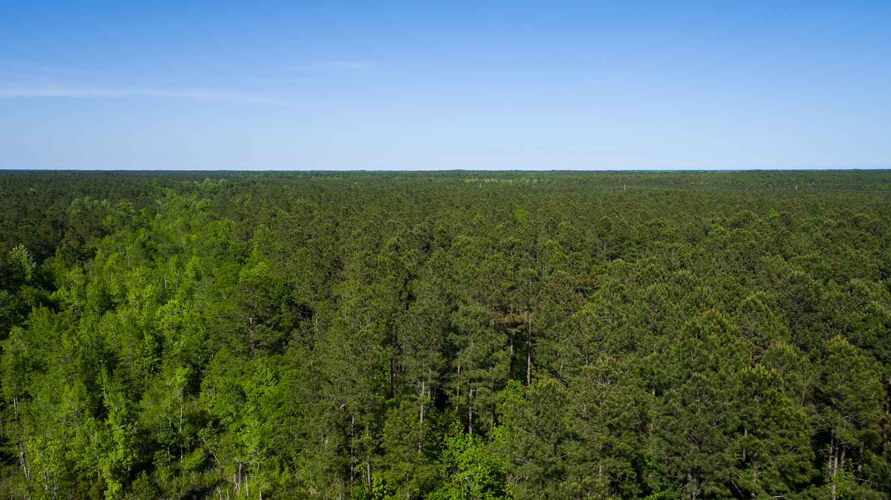 Brooks Hill property picture 5 of 11