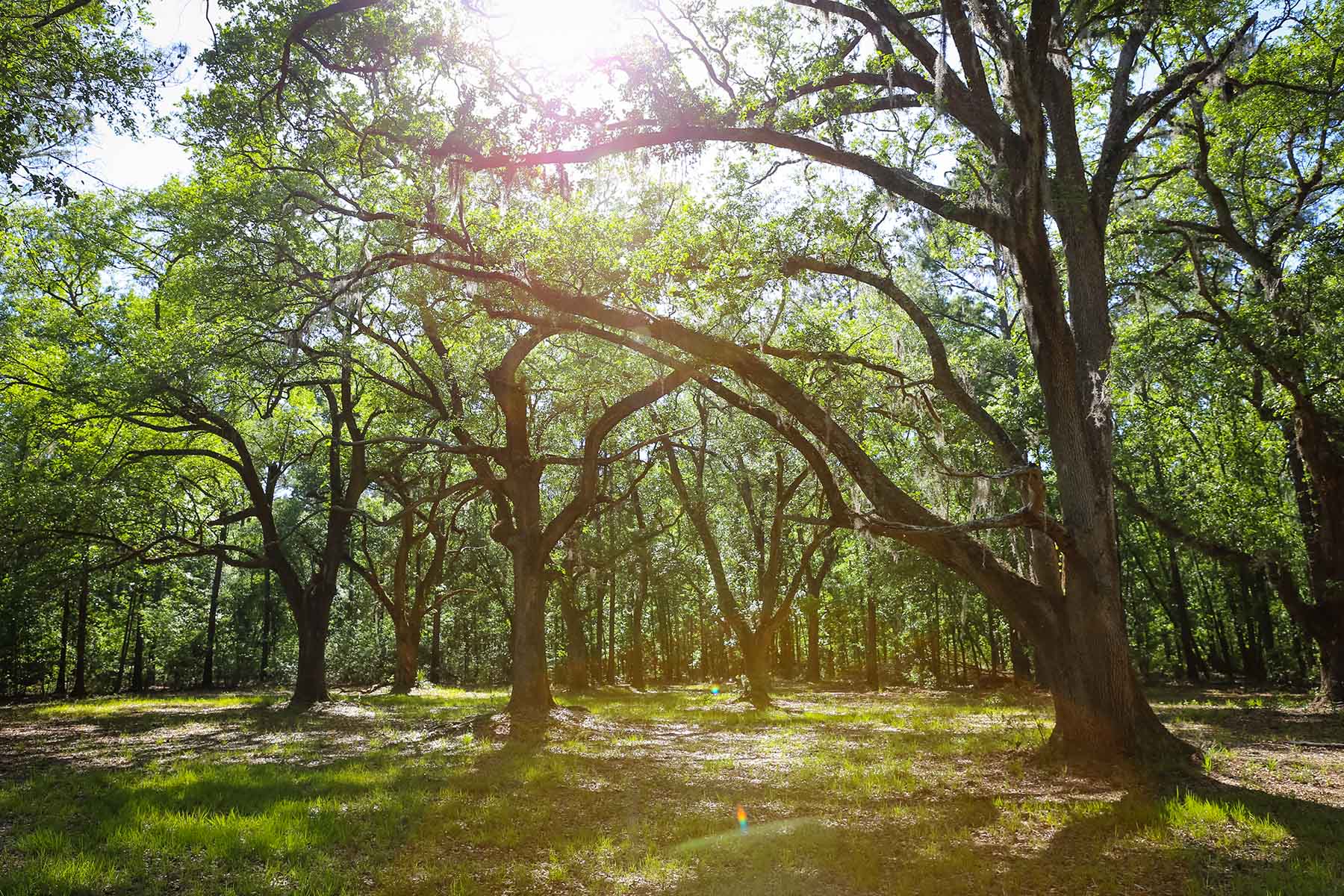 Brooks Hill property picture 7 of 11