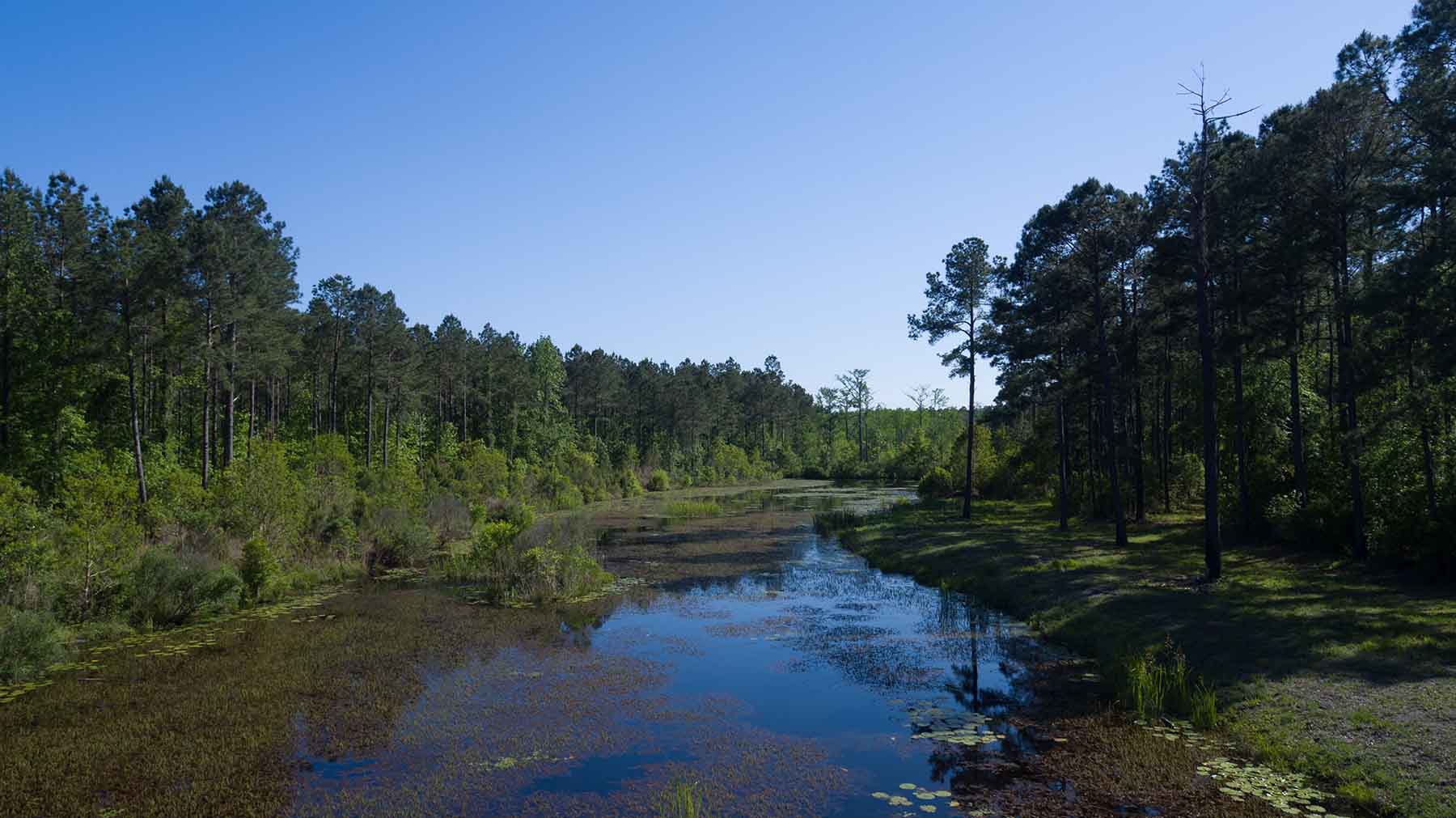 Brooks Hill property picture 8 of 11