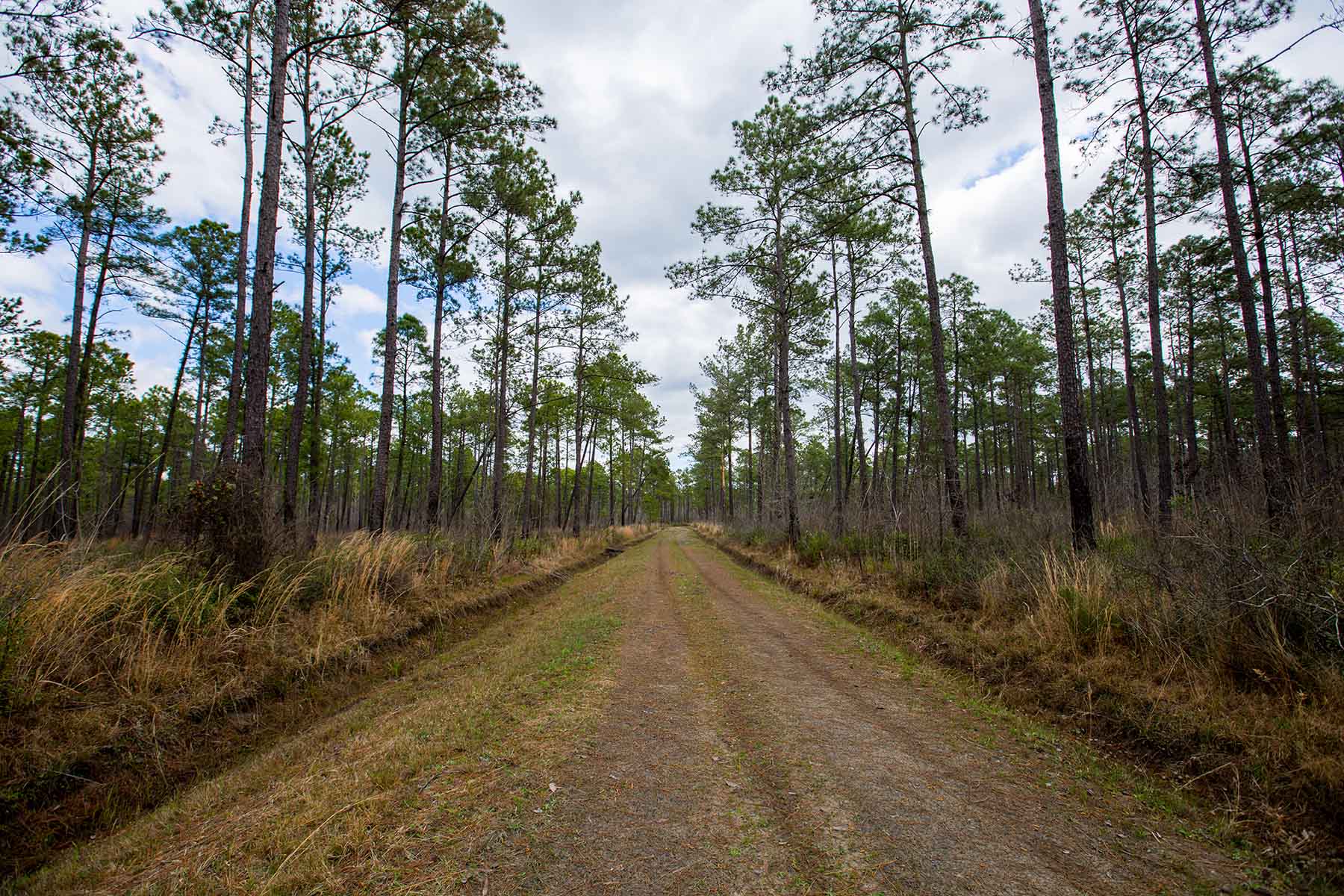 Brooks Hill property picture 10 of 11