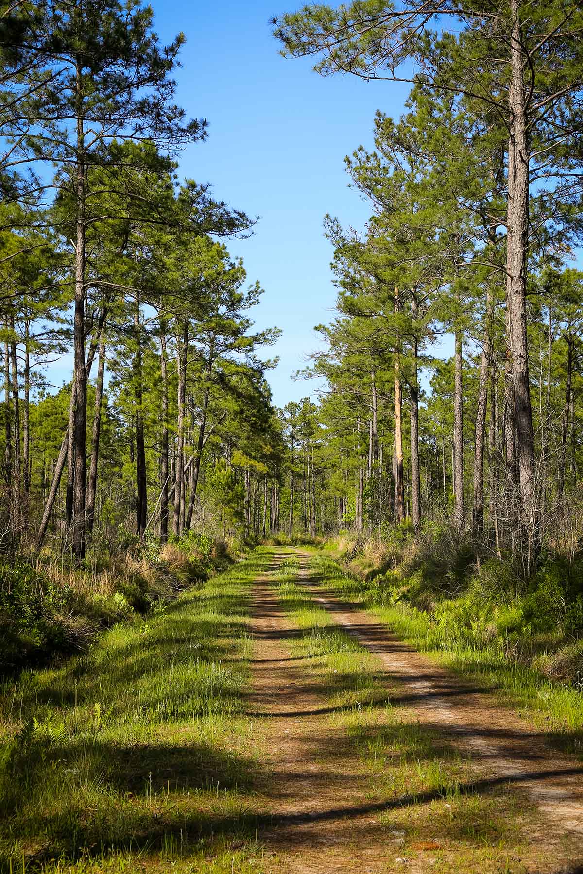 Brooks Hill property picture 11 of 11