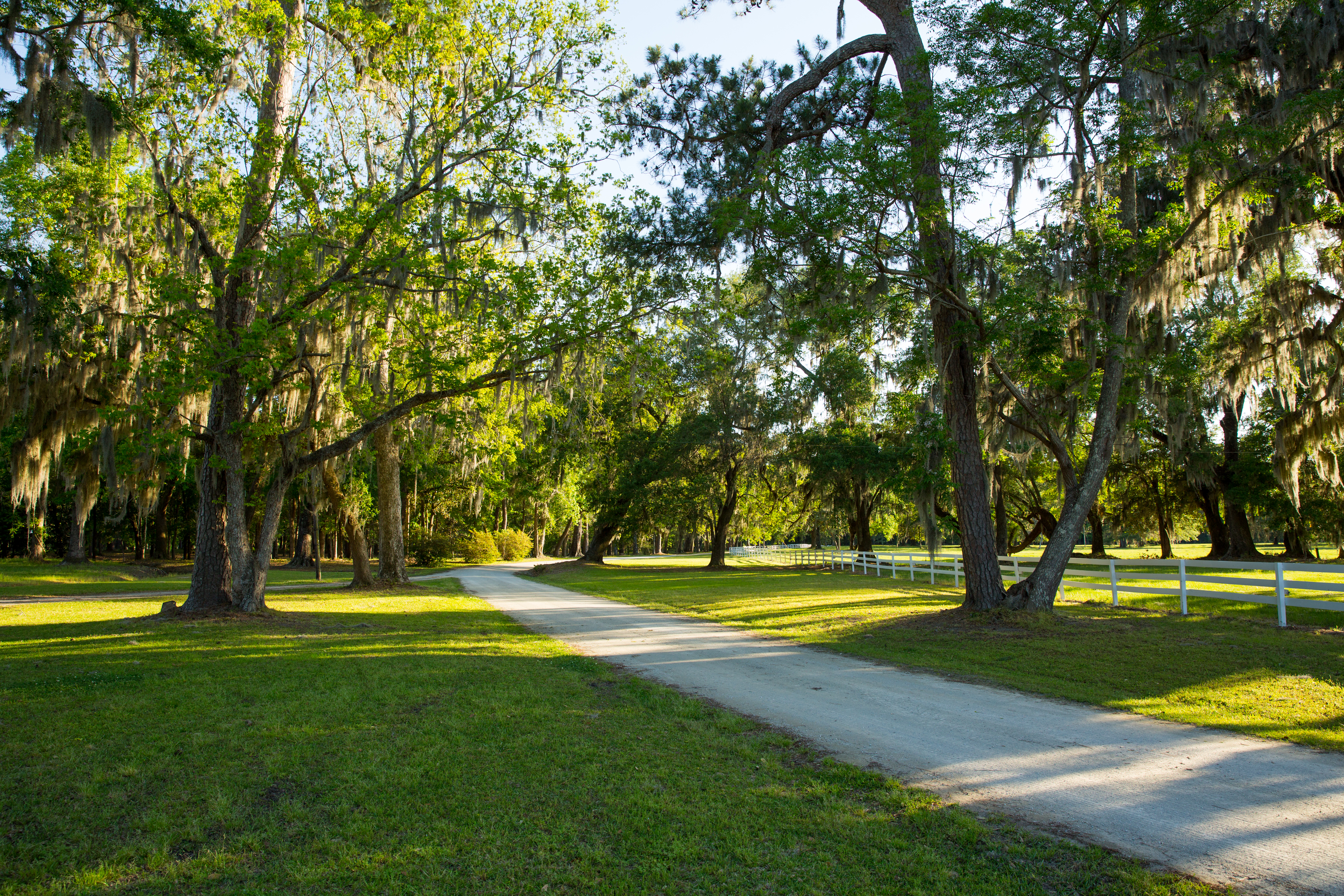 Weymouth Plantation property picture 13 of 62