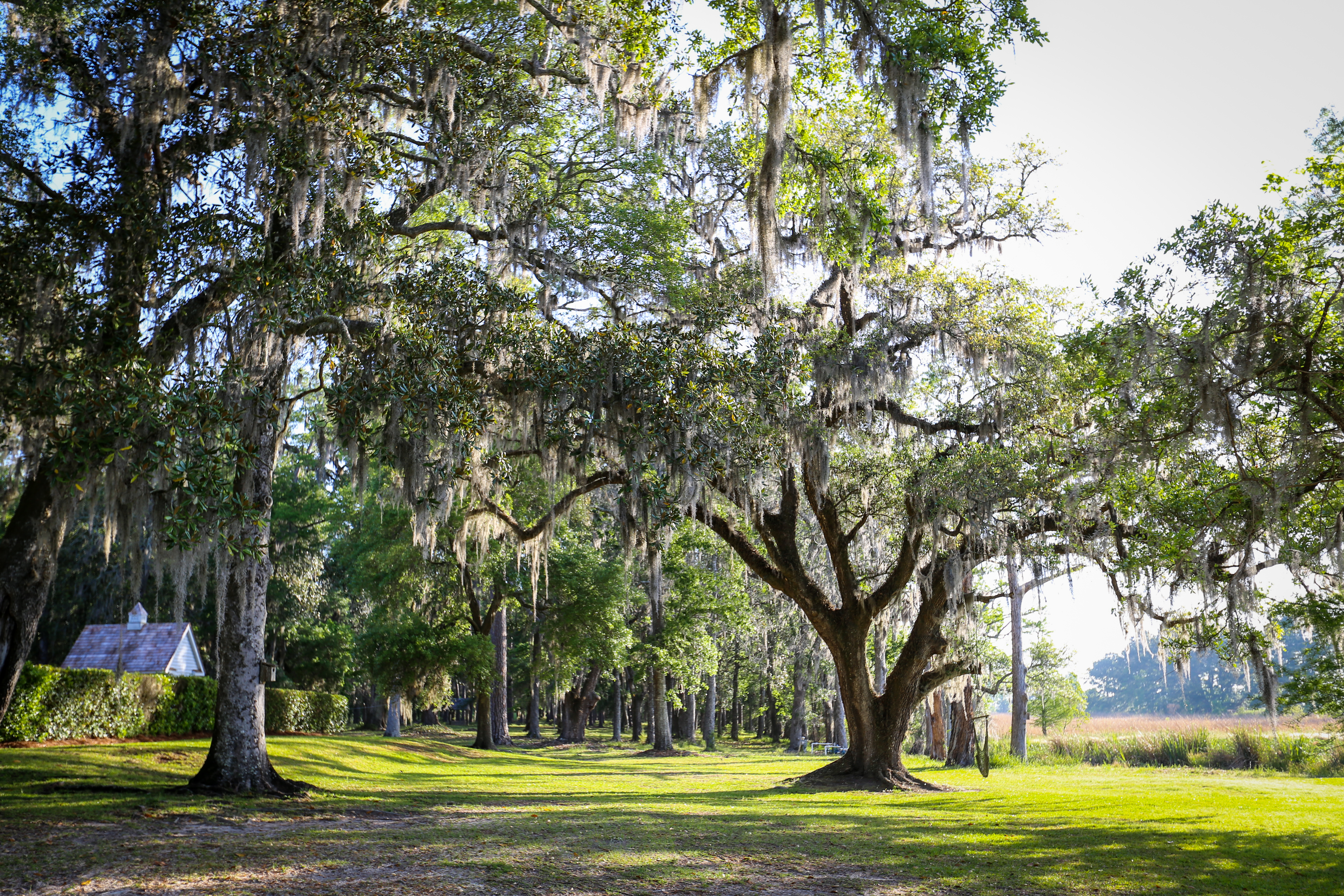 Weymouth Plantation property picture 43 of 62