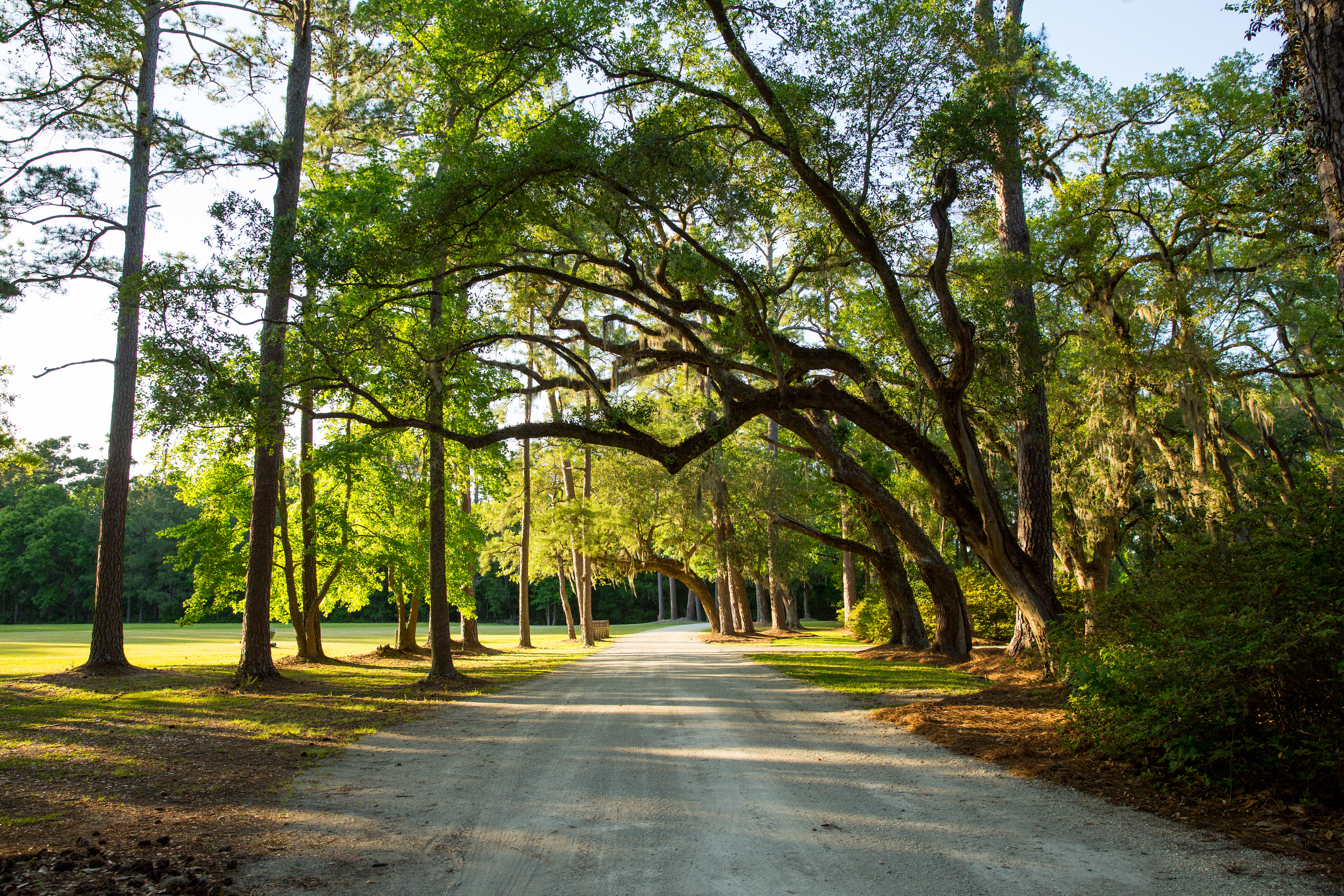 Weymouth Plantation property picture 4 of 62