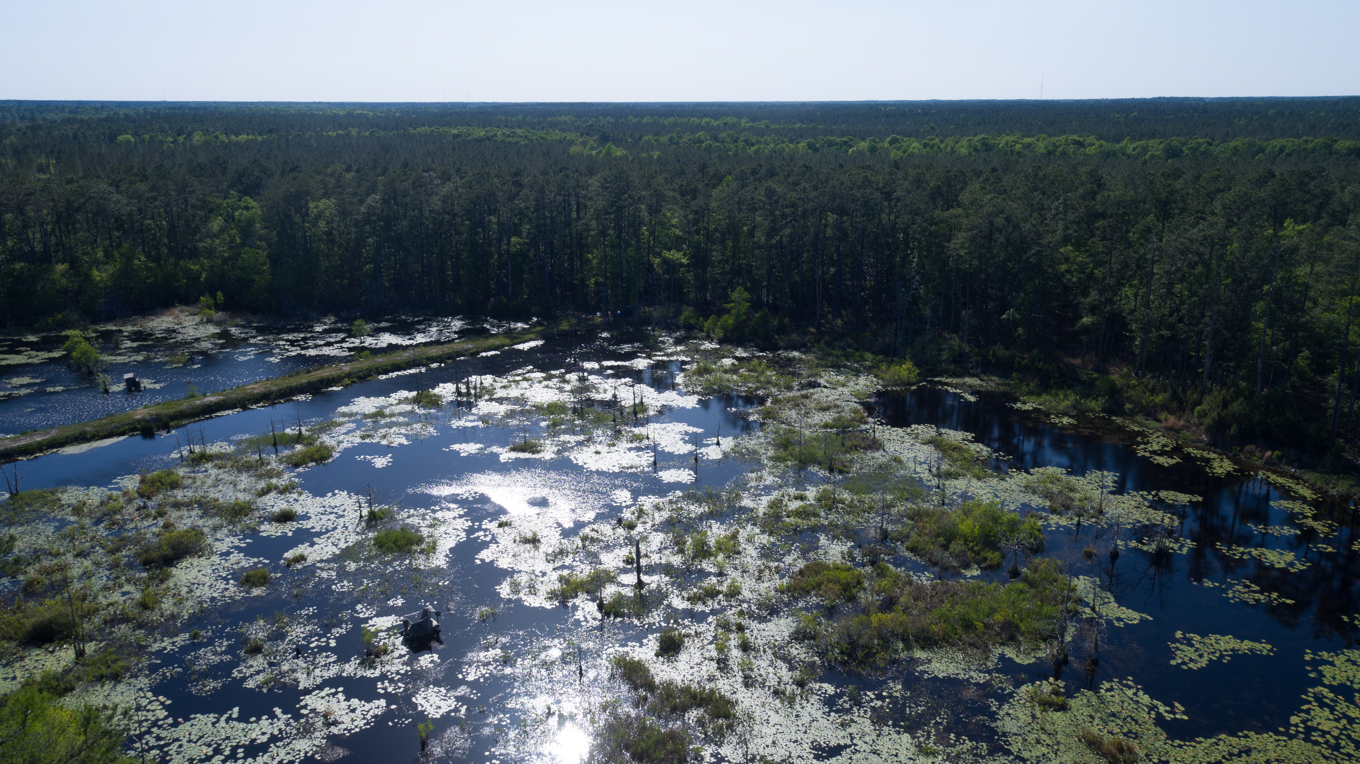 Weymouth Plantation property picture 48 of 62