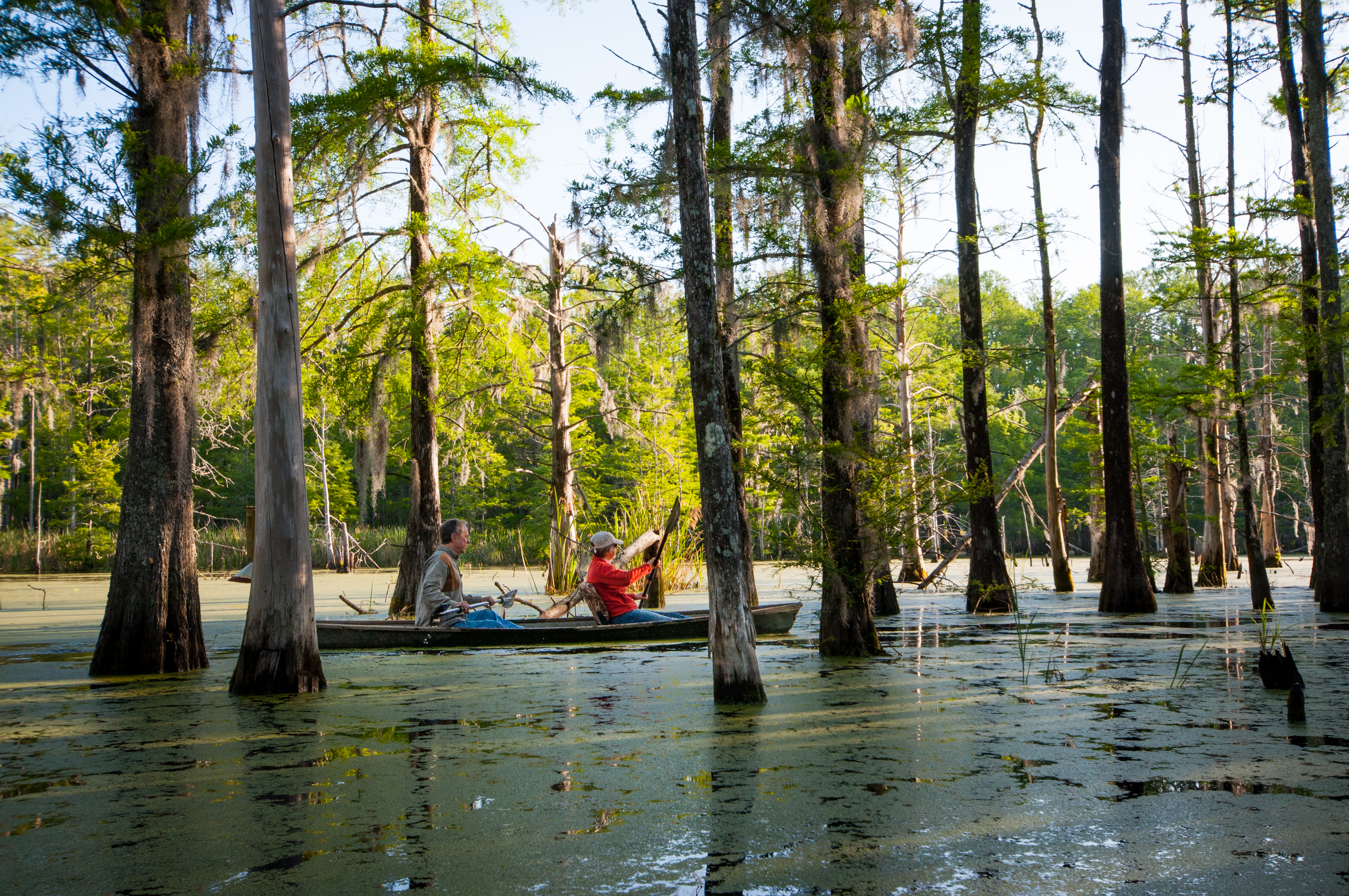 Weymouth Plantation property picture 6 of 62