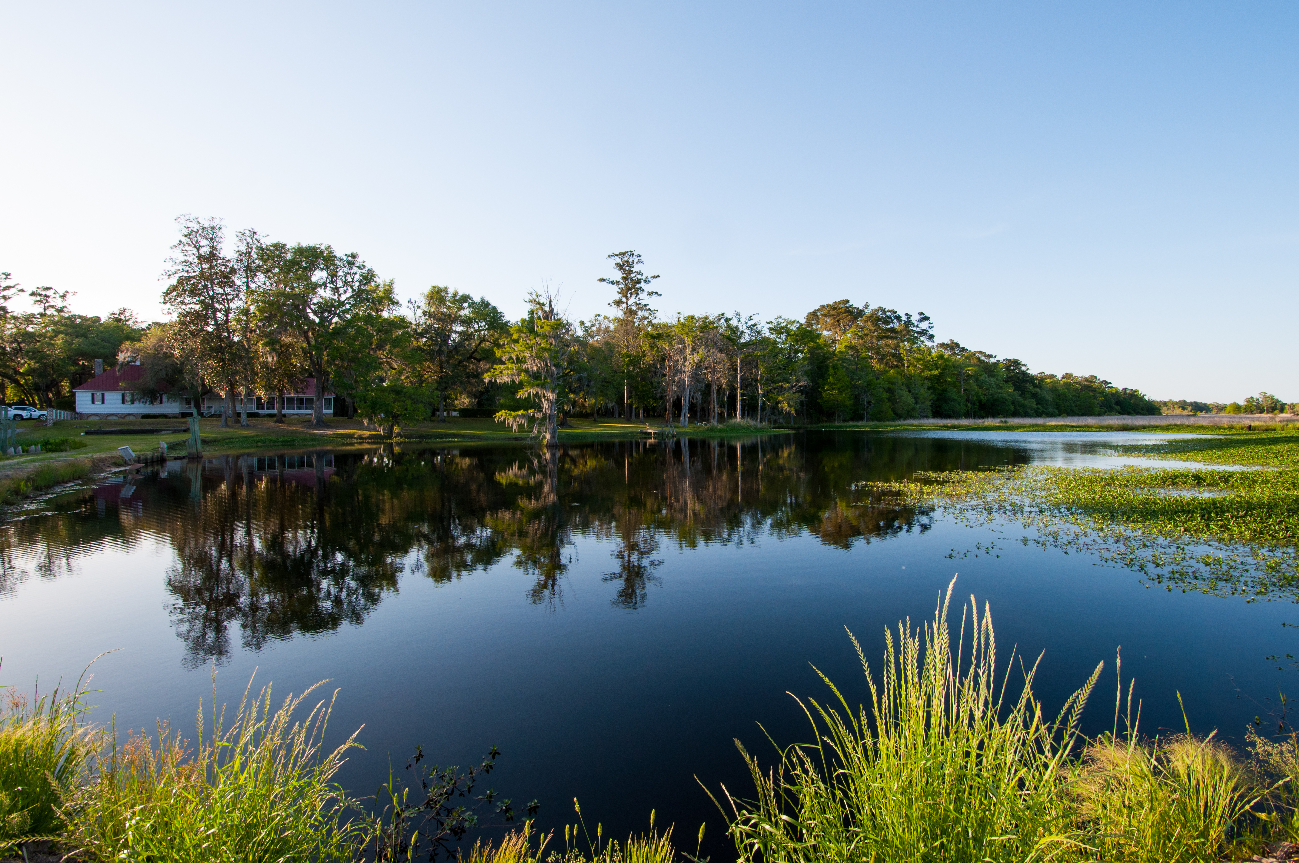 Weymouth Plantation property picture 38 of 62