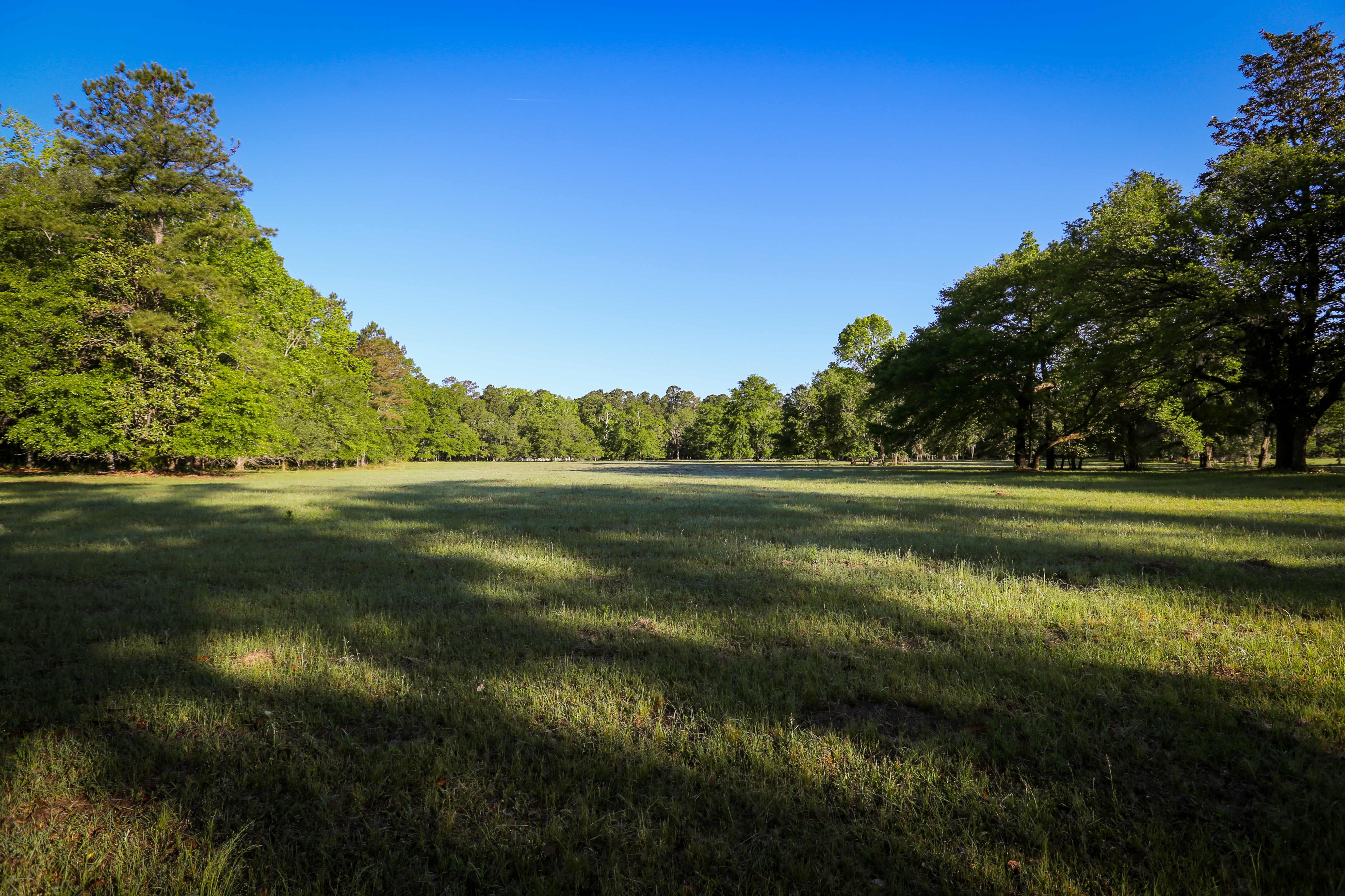 Weymouth Plantation property picture 15 of 62