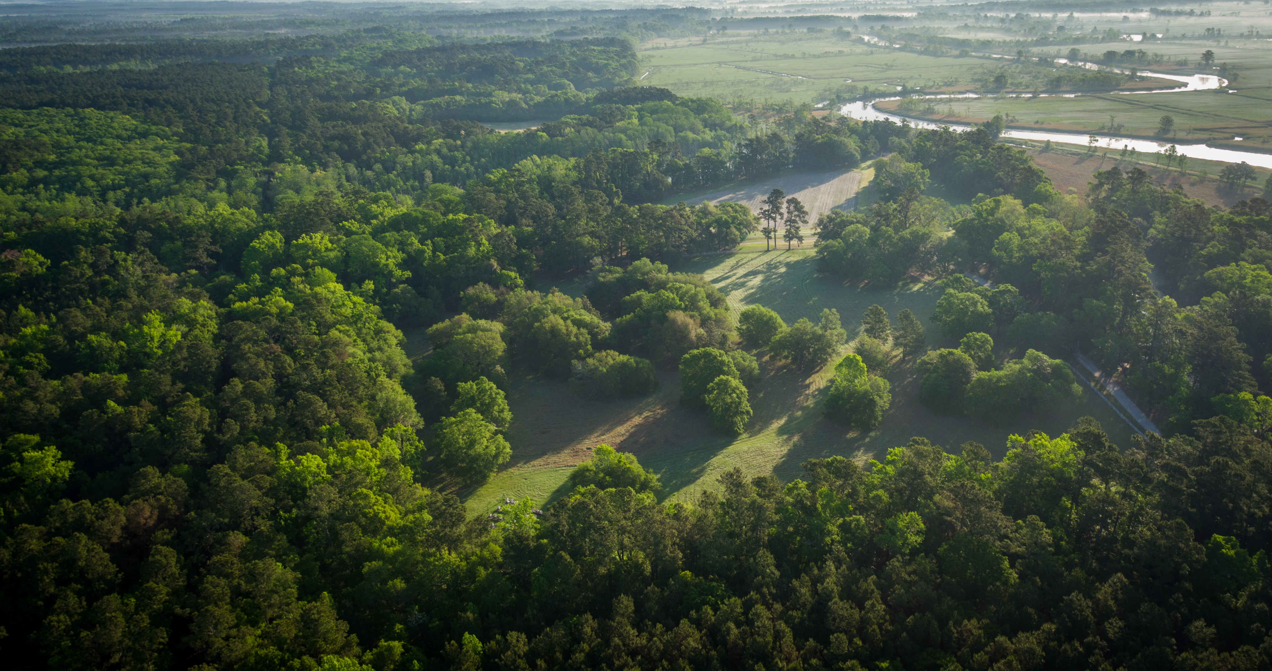 Weymouth Plantation property picture 7 of 62