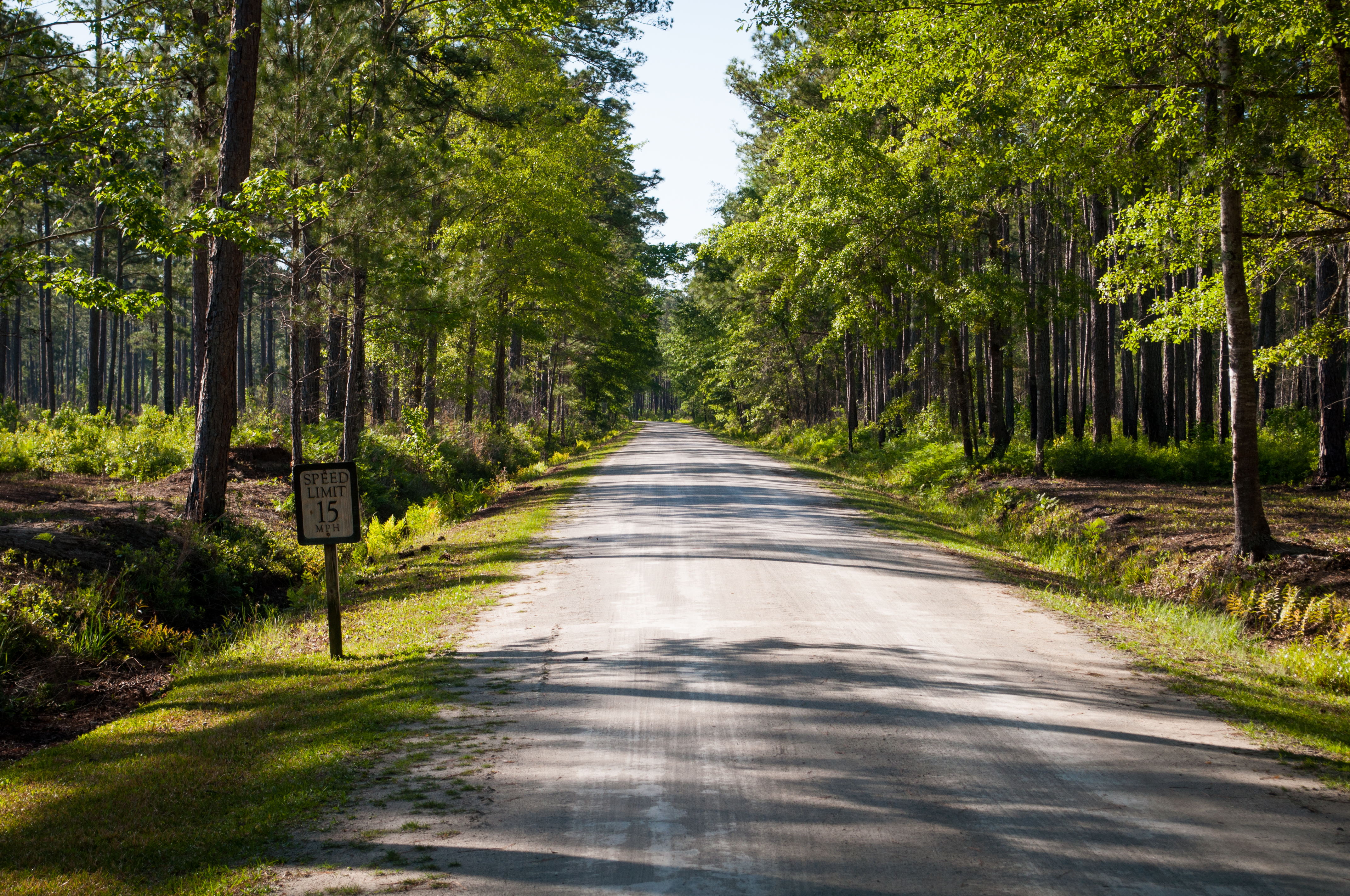Weymouth Plantation property picture 58 of 62