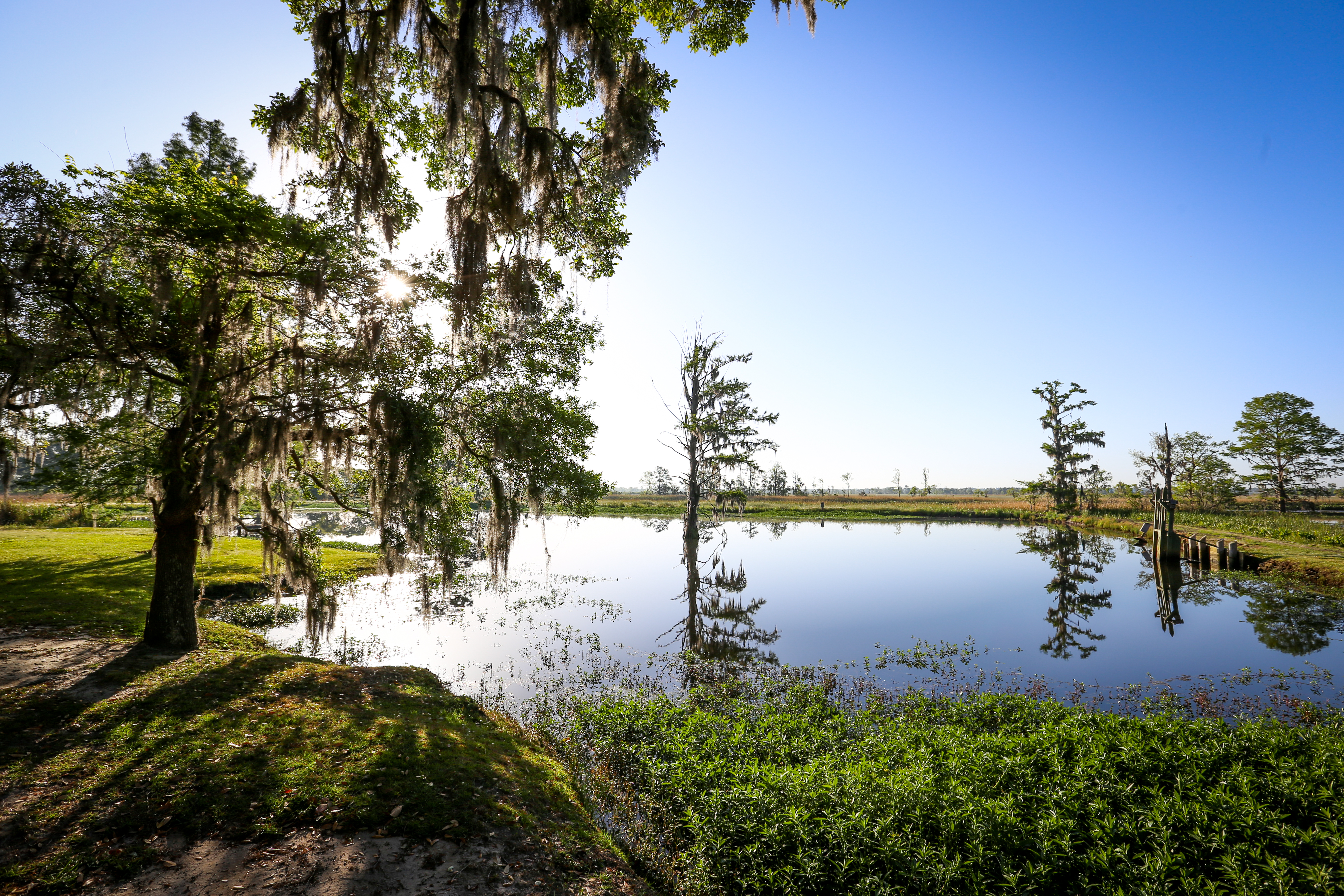 Weymouth Plantation property picture 45 of 62