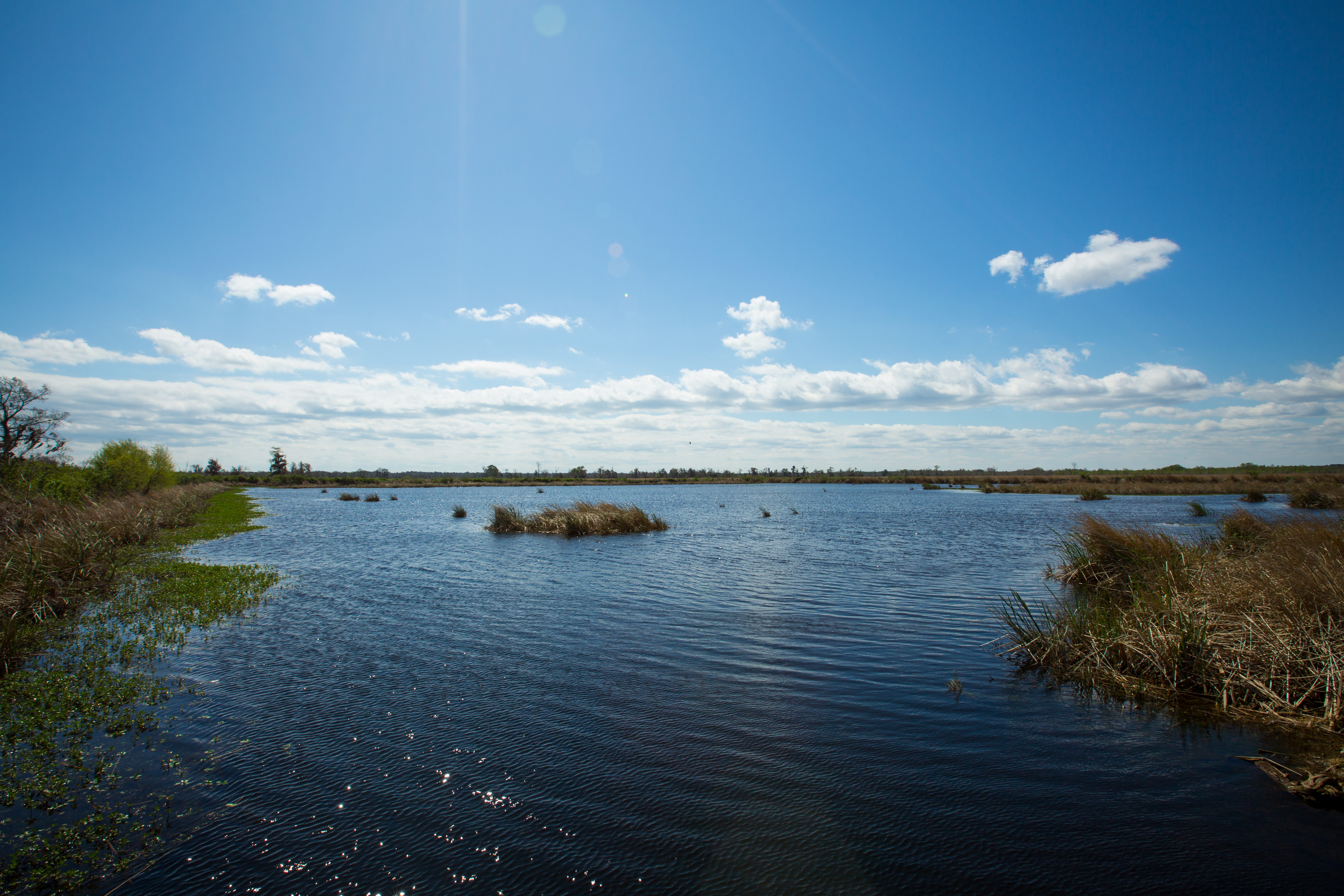 Weymouth Plantation property picture 55 of 62