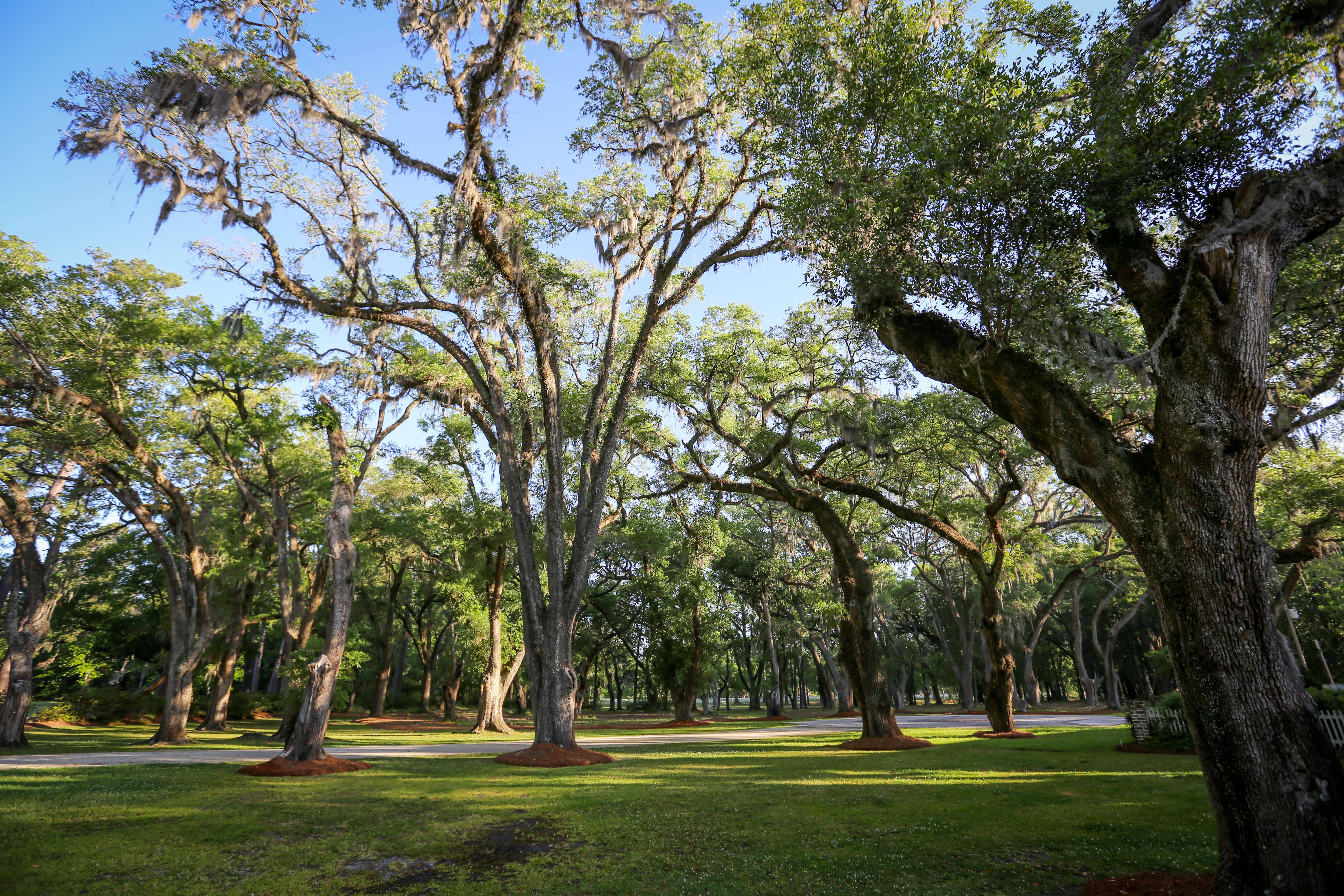 Weymouth Plantation property picture 8 of 62