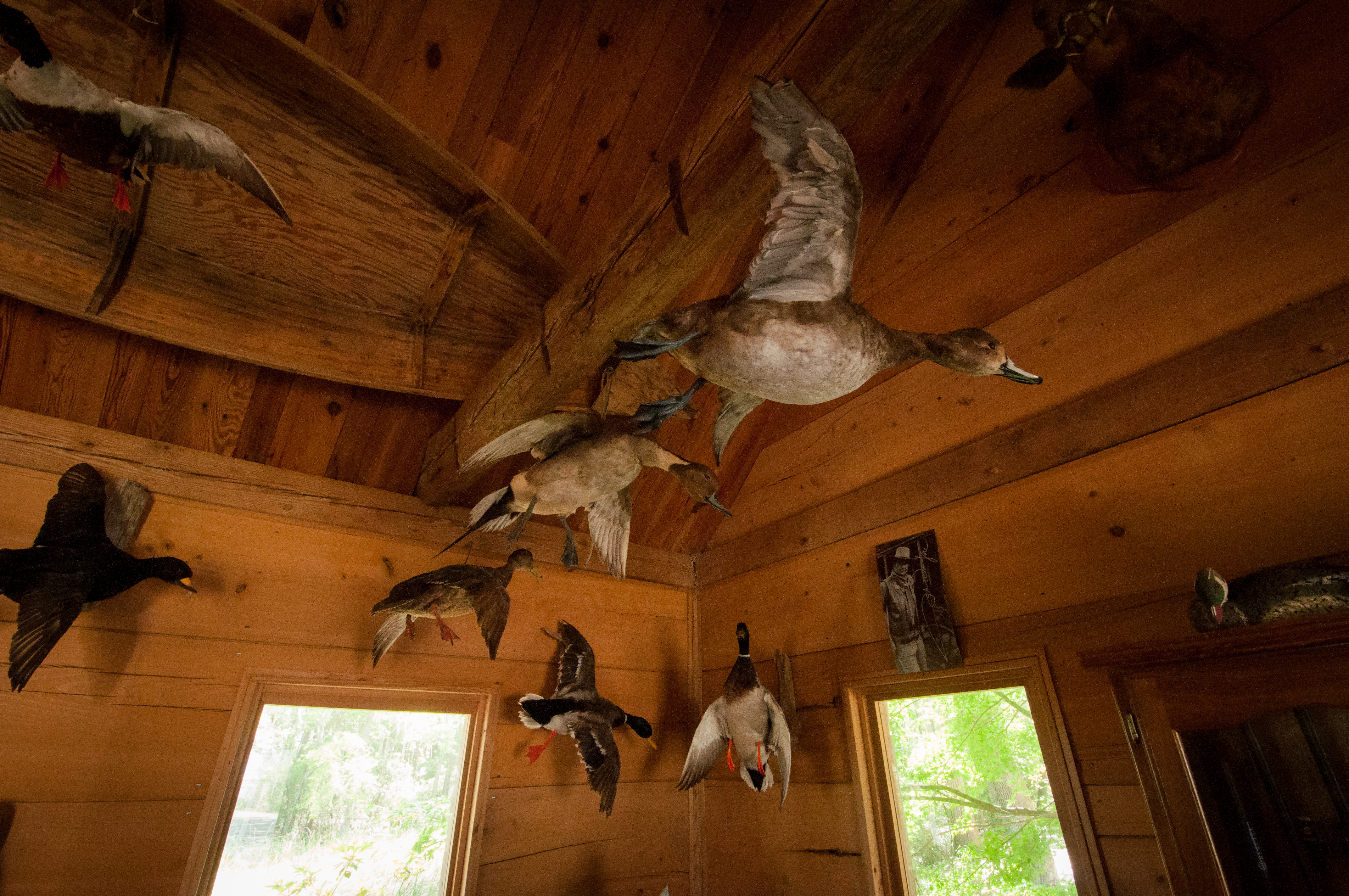 Weymouth Plantation property picture 37 of 62