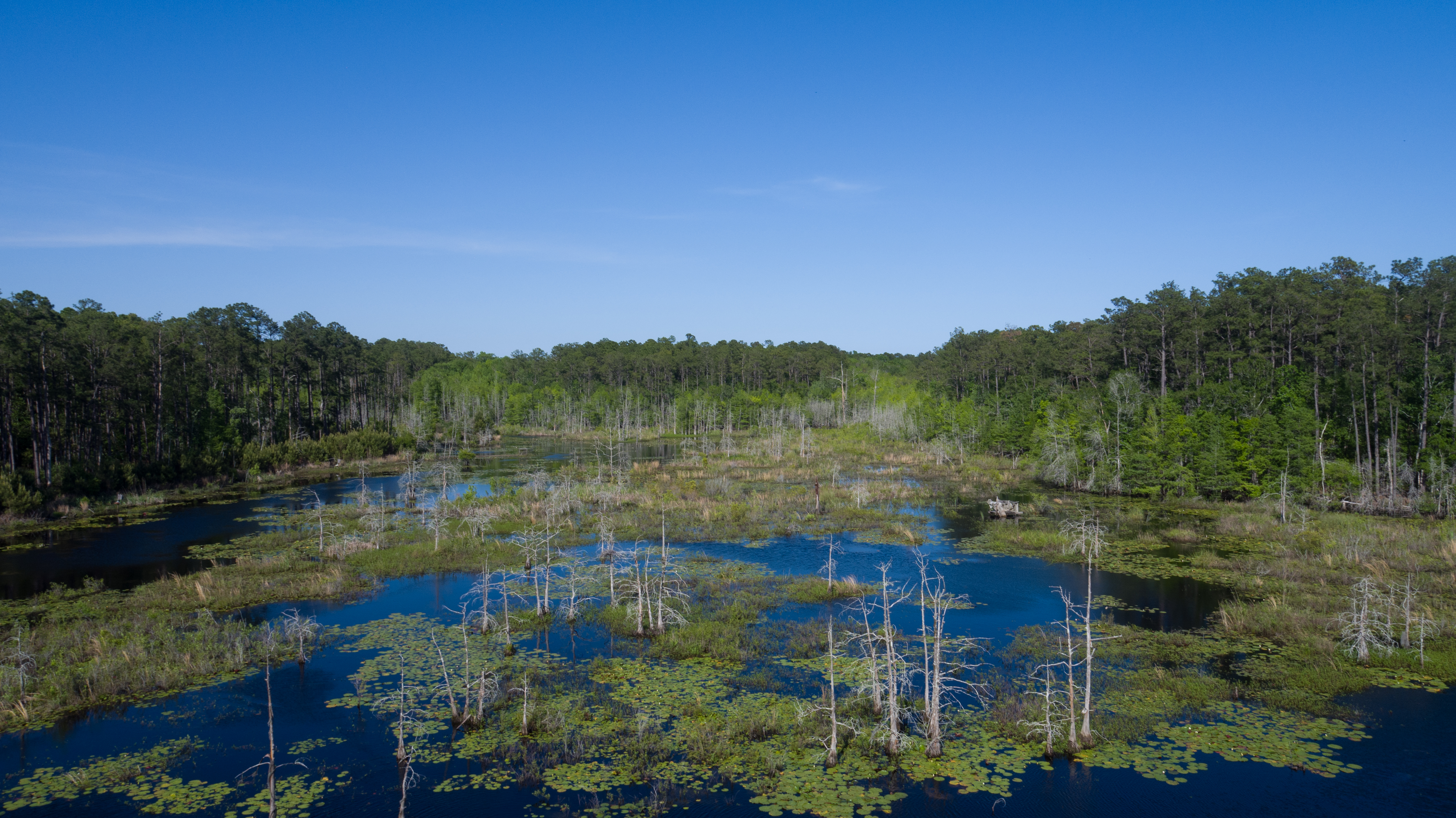 Weymouth Plantation property picture 49 of 62
