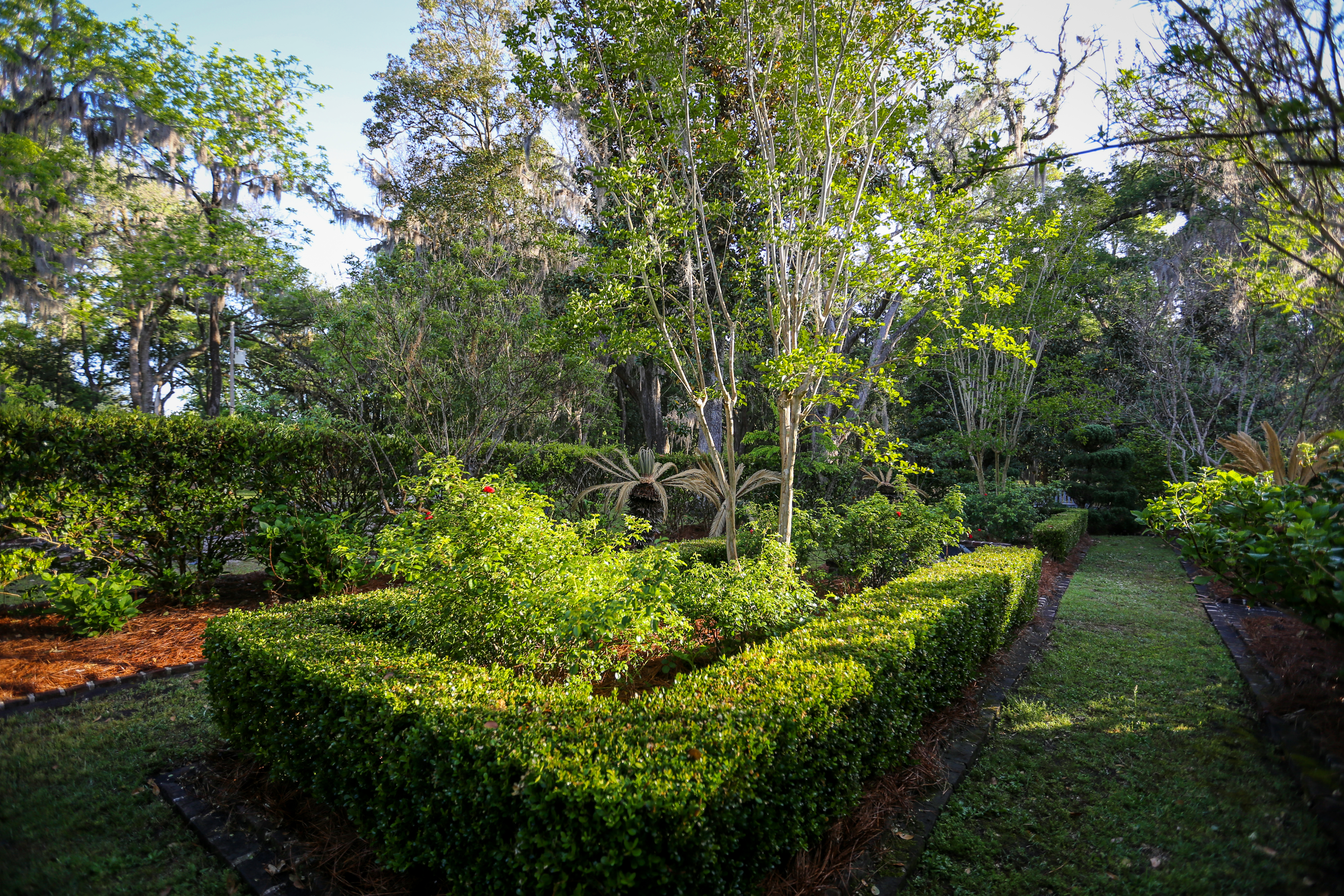 Weymouth Plantation property picture 33 of 62