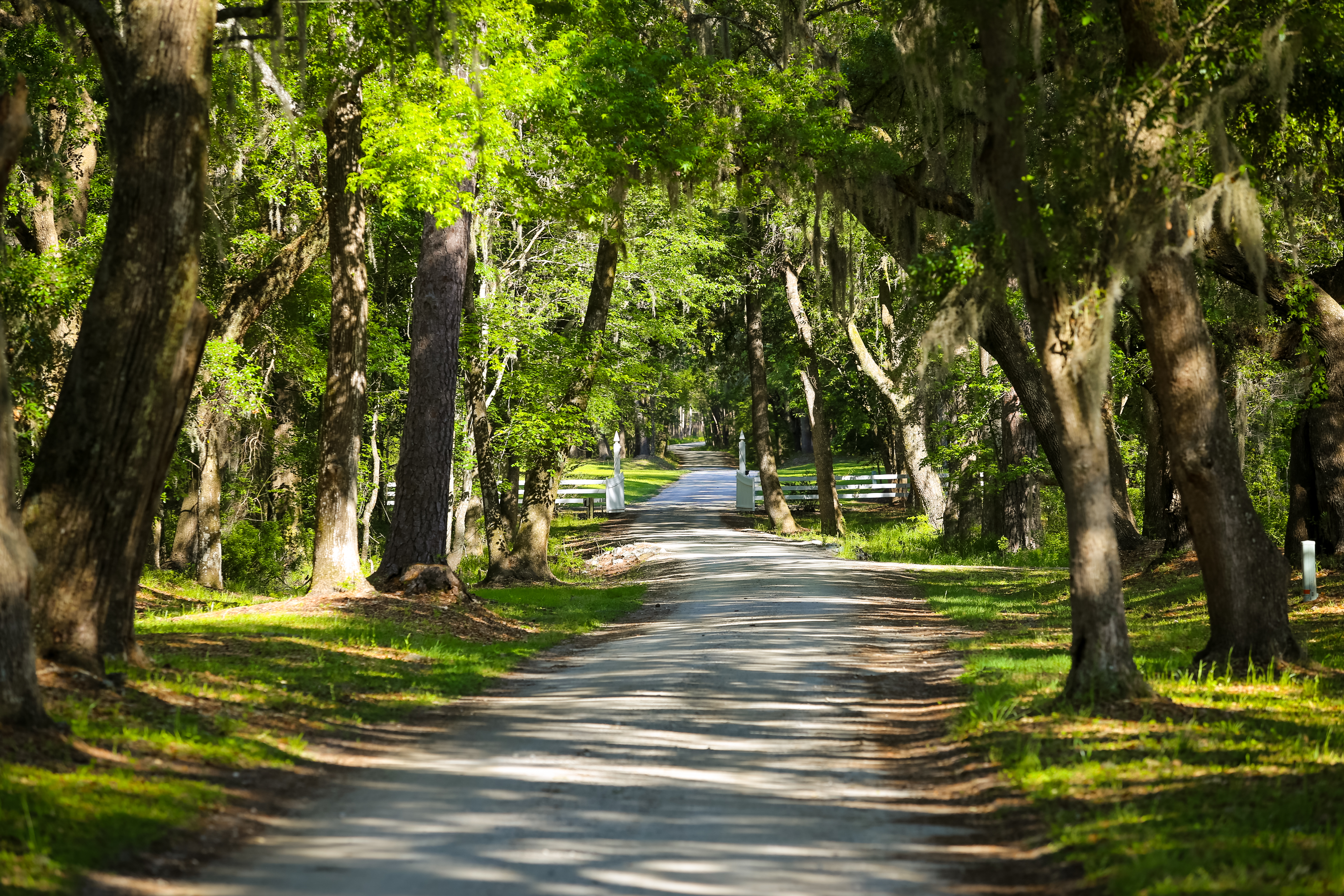 Weymouth Plantation property picture 44 of 62