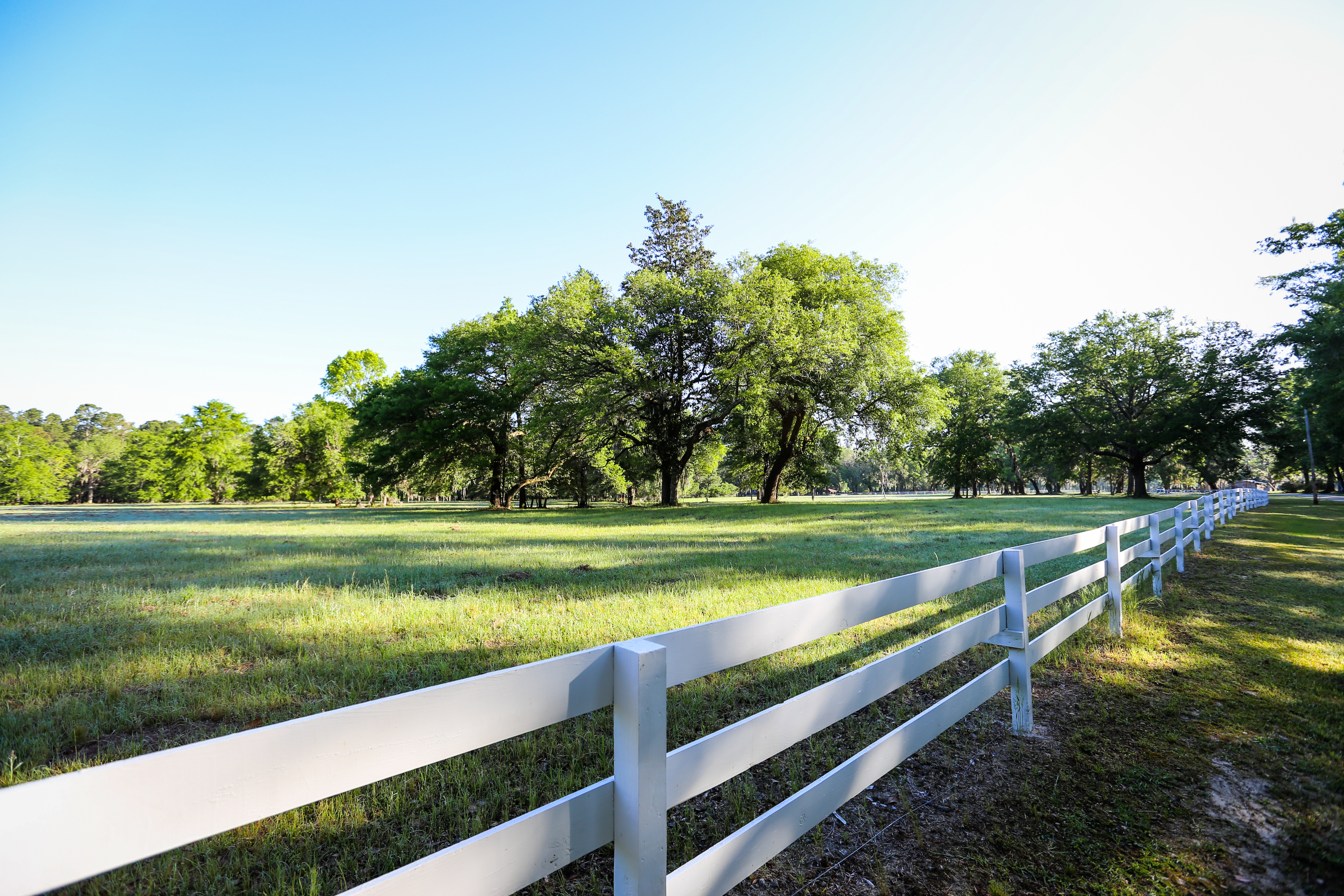 Weymouth Plantation property picture 51 of 62