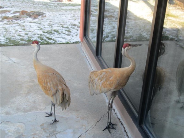 McGinley Homestead property picture 28 of 28