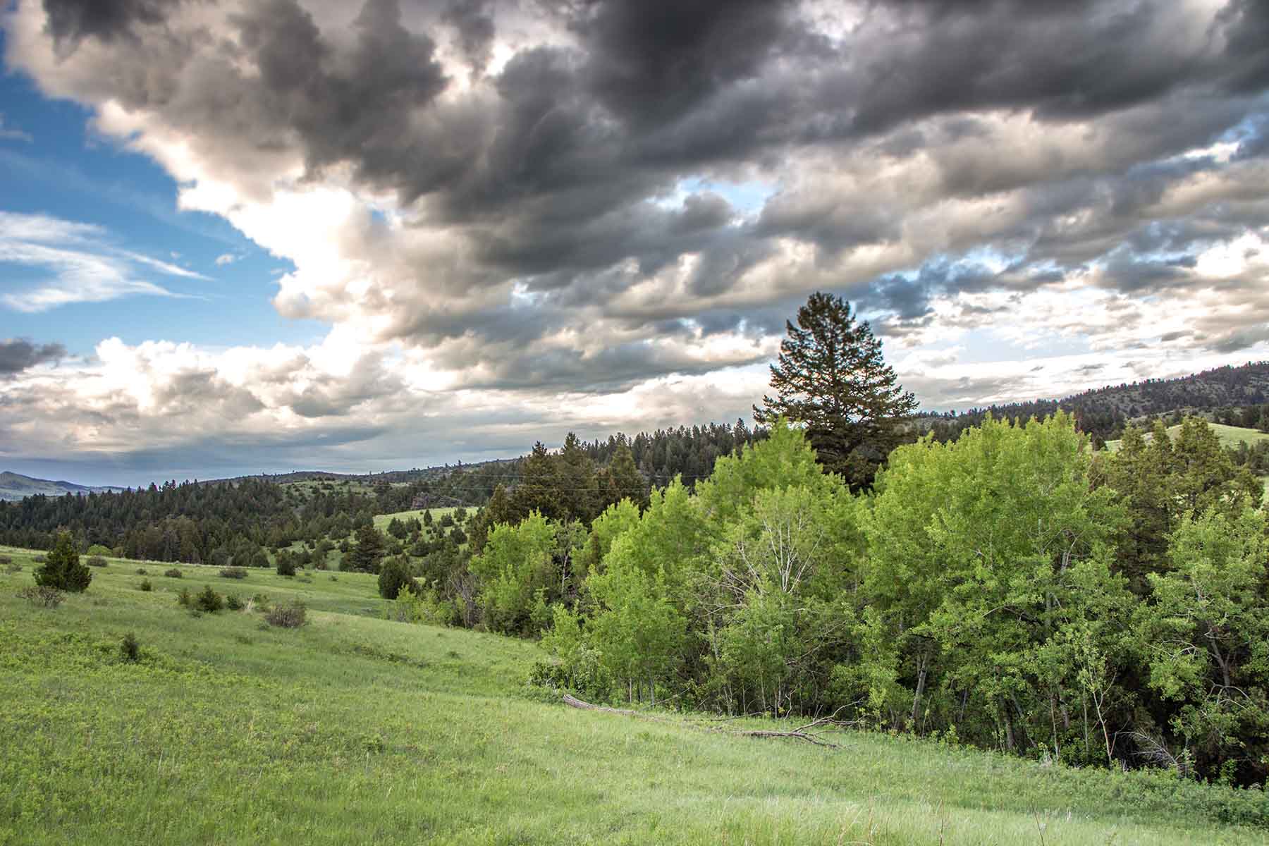 McGinley Homestead property picture 16 of 28