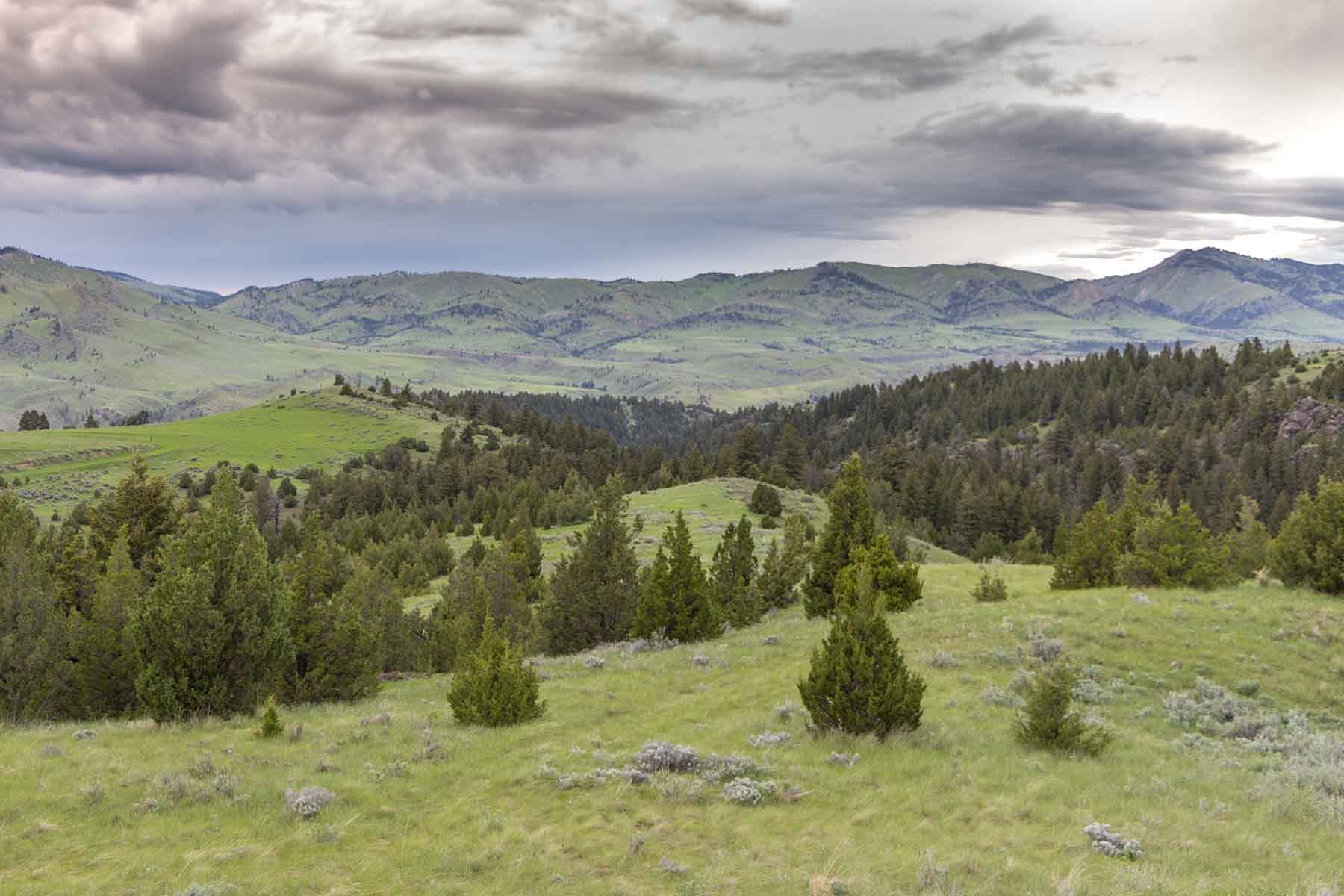 McGinley Homestead property picture 6 of 28