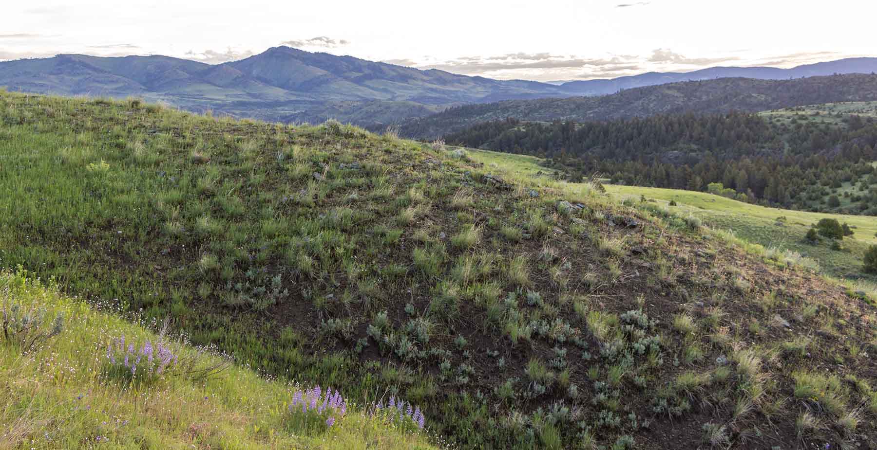 McGinley Homestead property picture 7 of 28