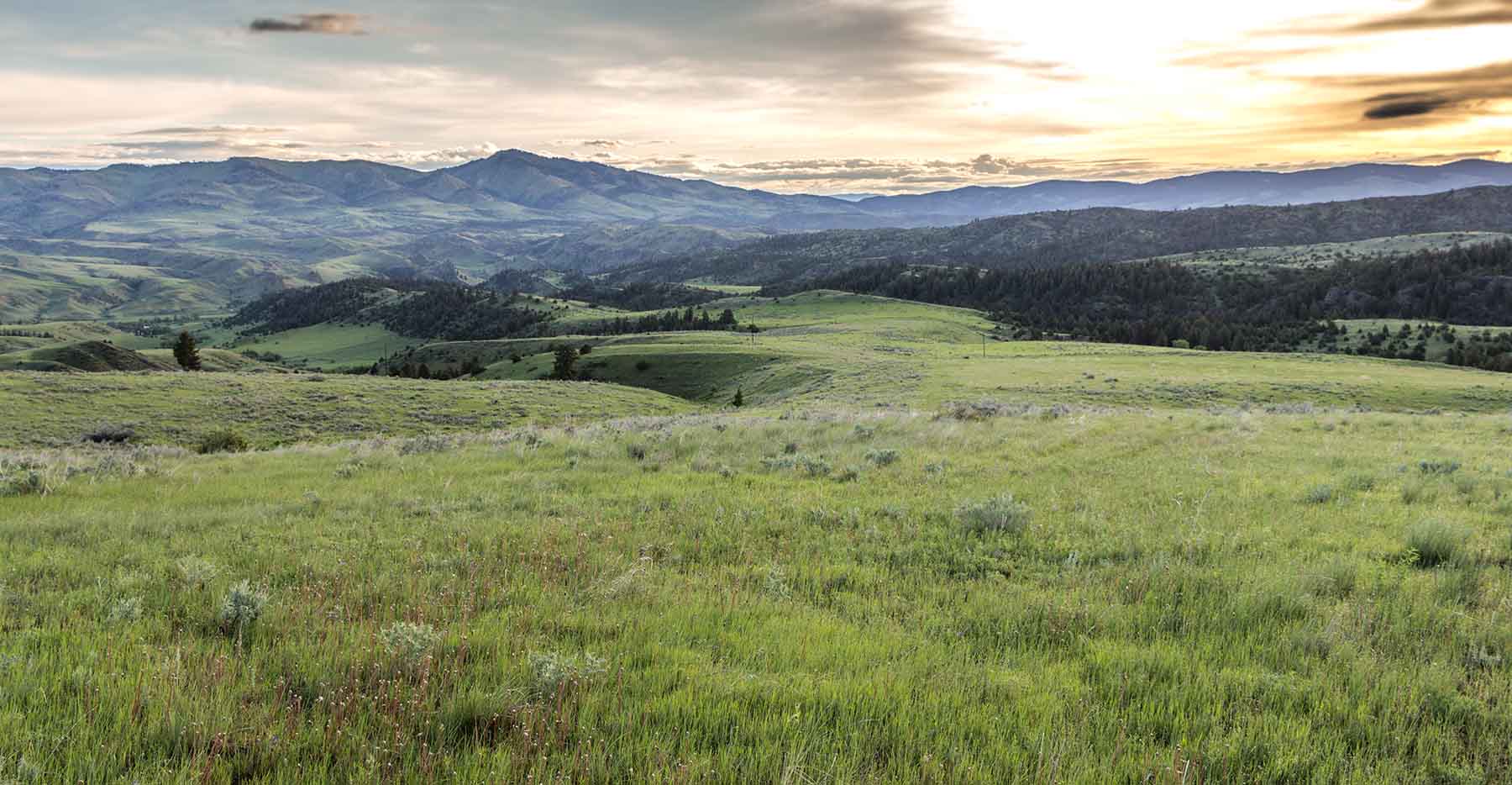 McGinley Homestead property picture 3 of 28