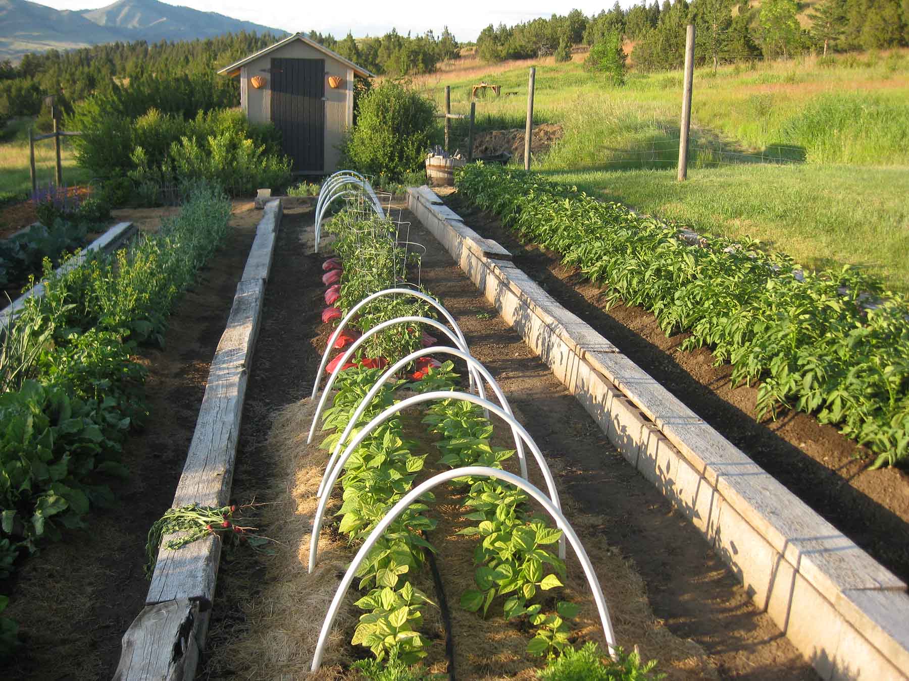 McGinley Homestead property picture 27 of 28