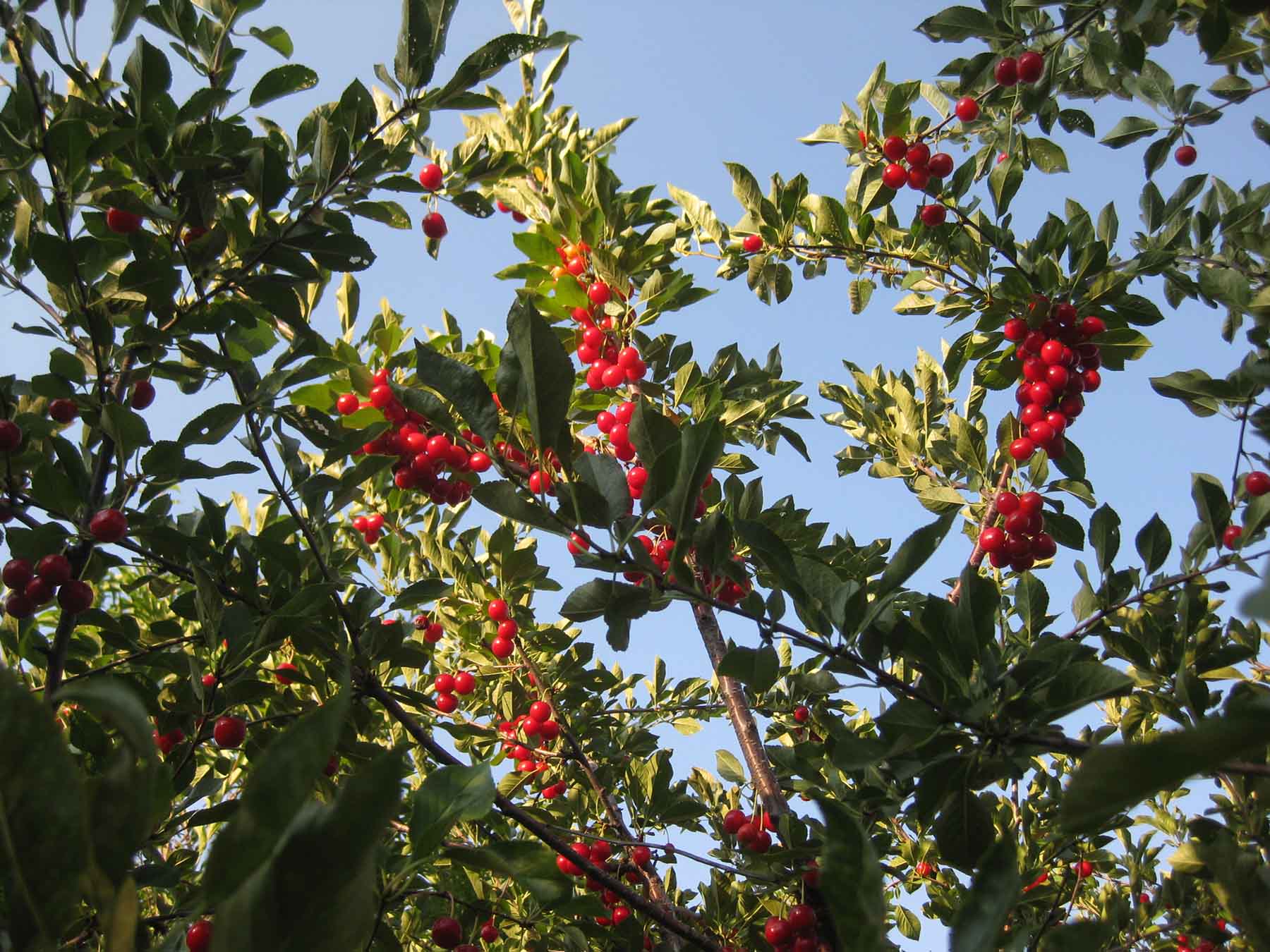 McGinley Homestead property picture 17 of 28