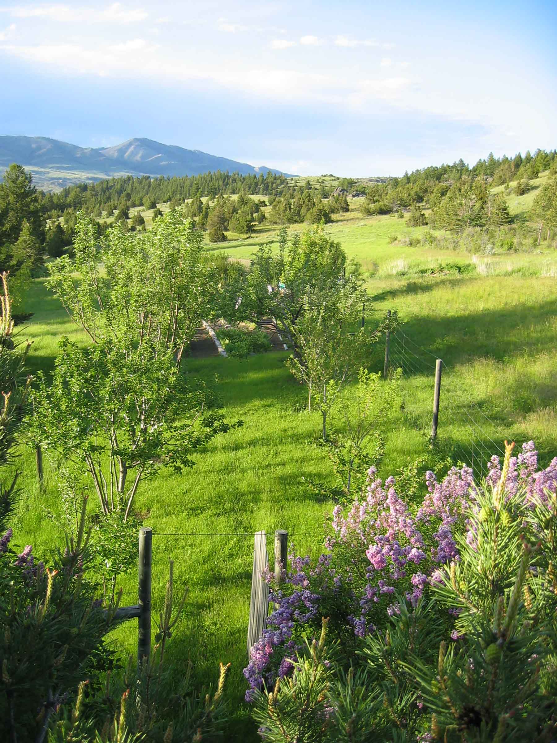 McGinley Homestead property picture 19 of 28