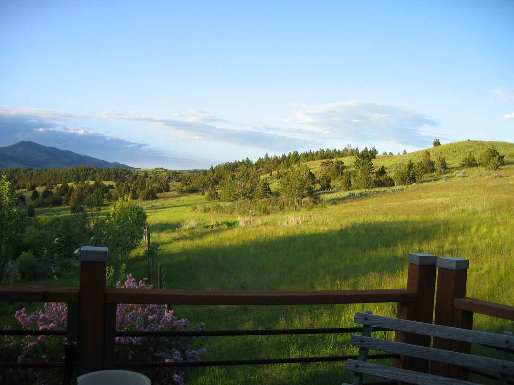 McGinley Homestead property picture 20 of 28