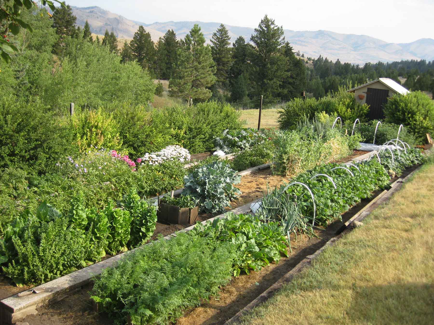 McGinley Homestead property picture 21 of 28