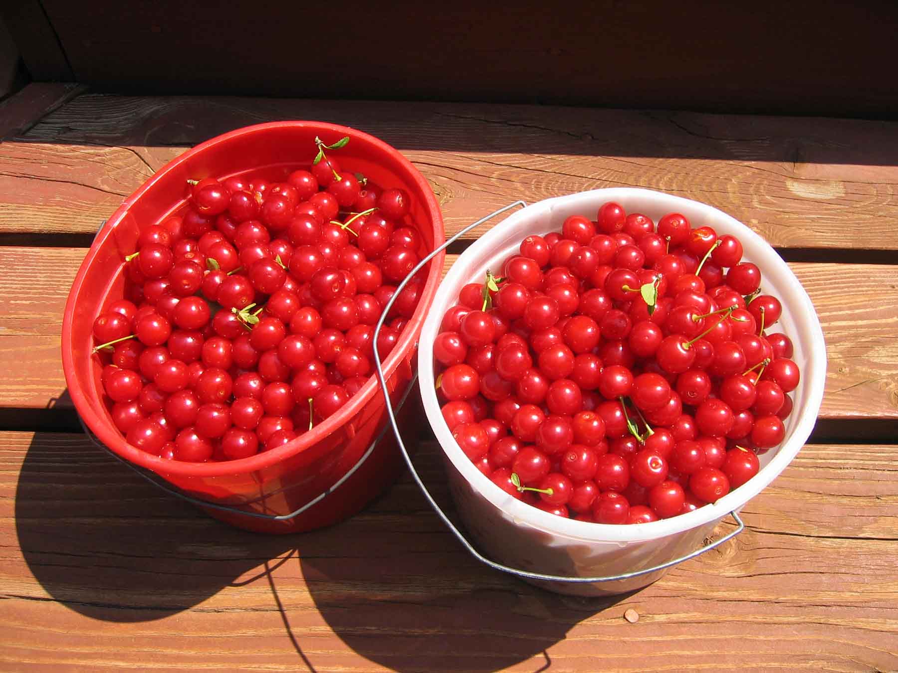 McGinley Homestead property picture 18 of 28