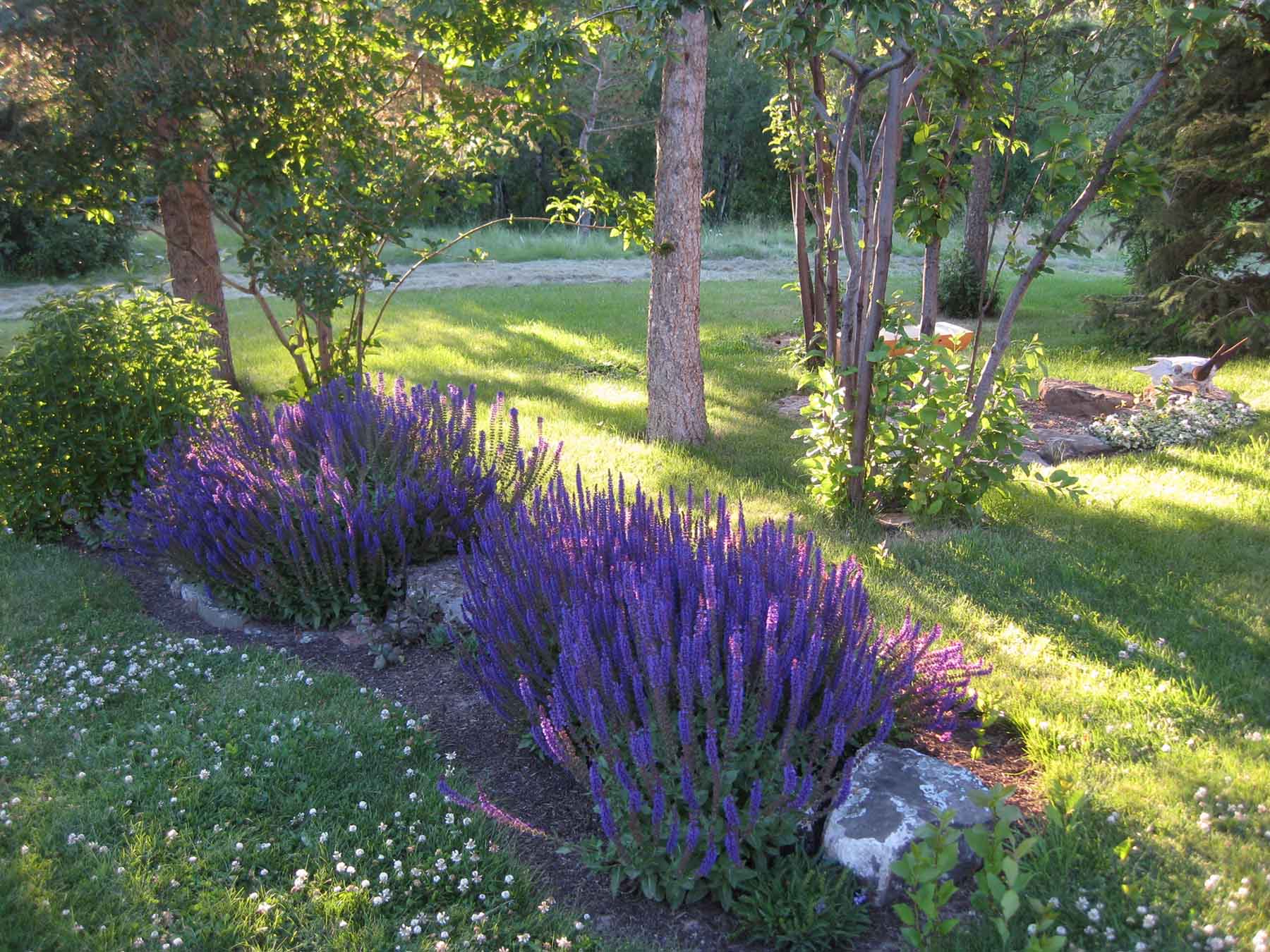 McGinley Homestead property picture 22 of 28