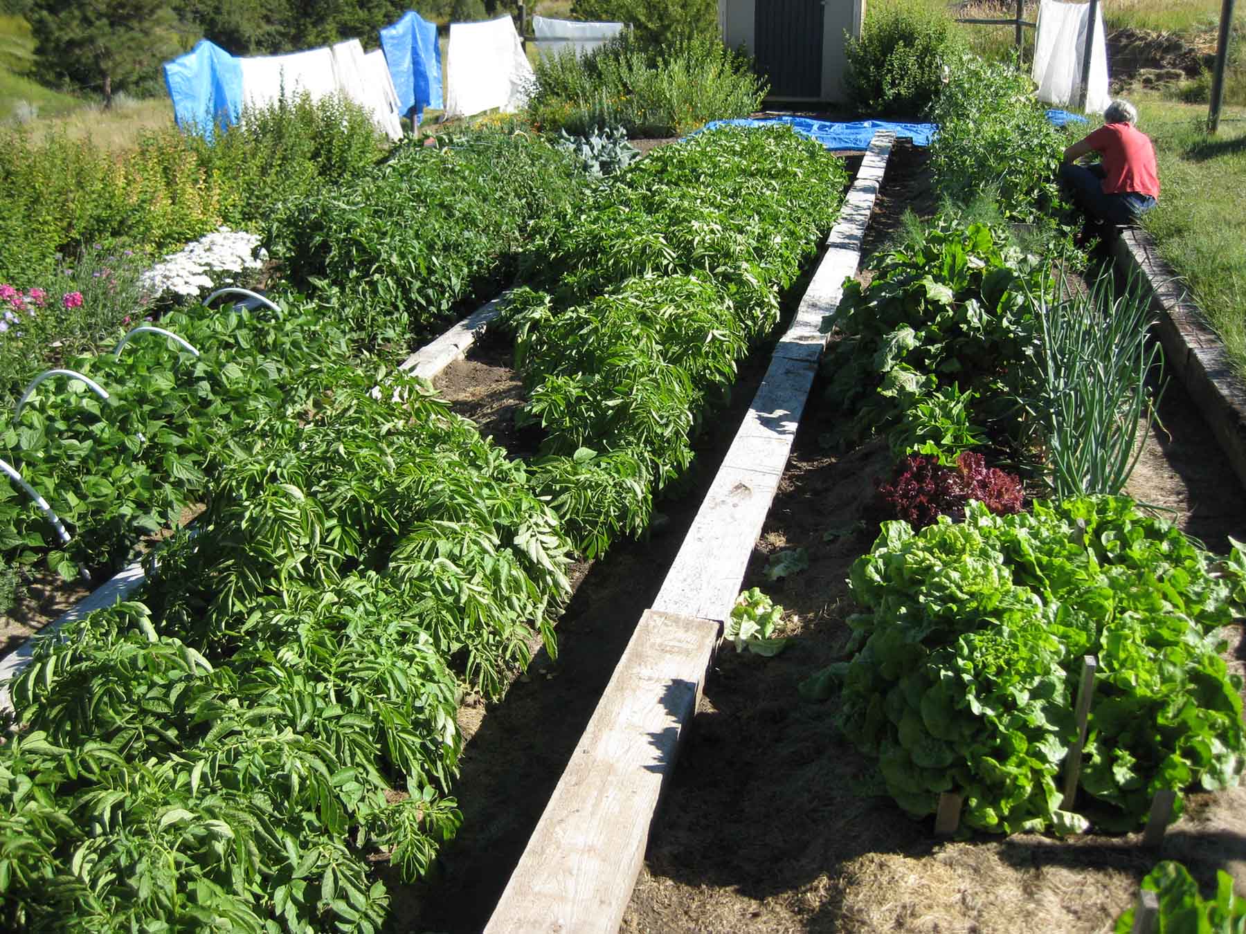 McGinley Homestead property picture 23 of 28