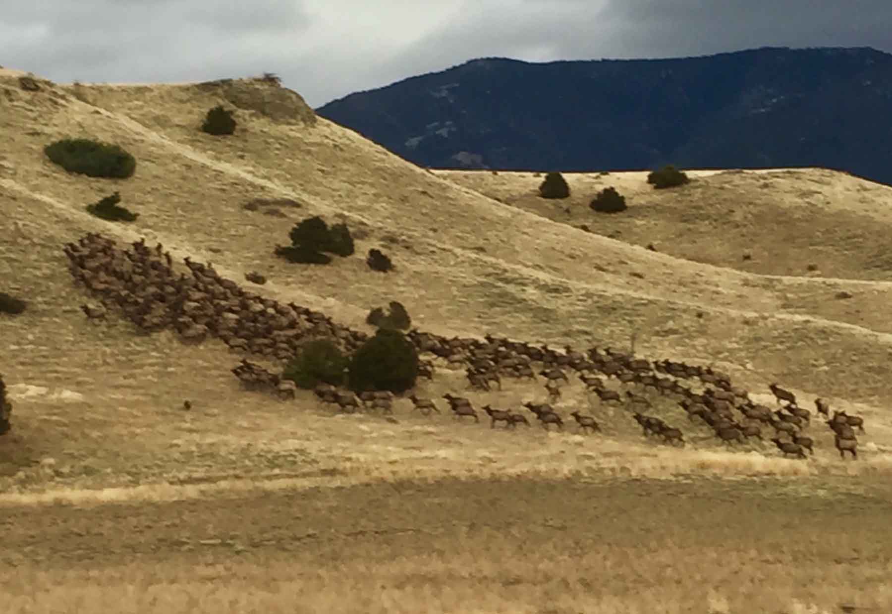 McGinley Homestead property picture 26 of 28