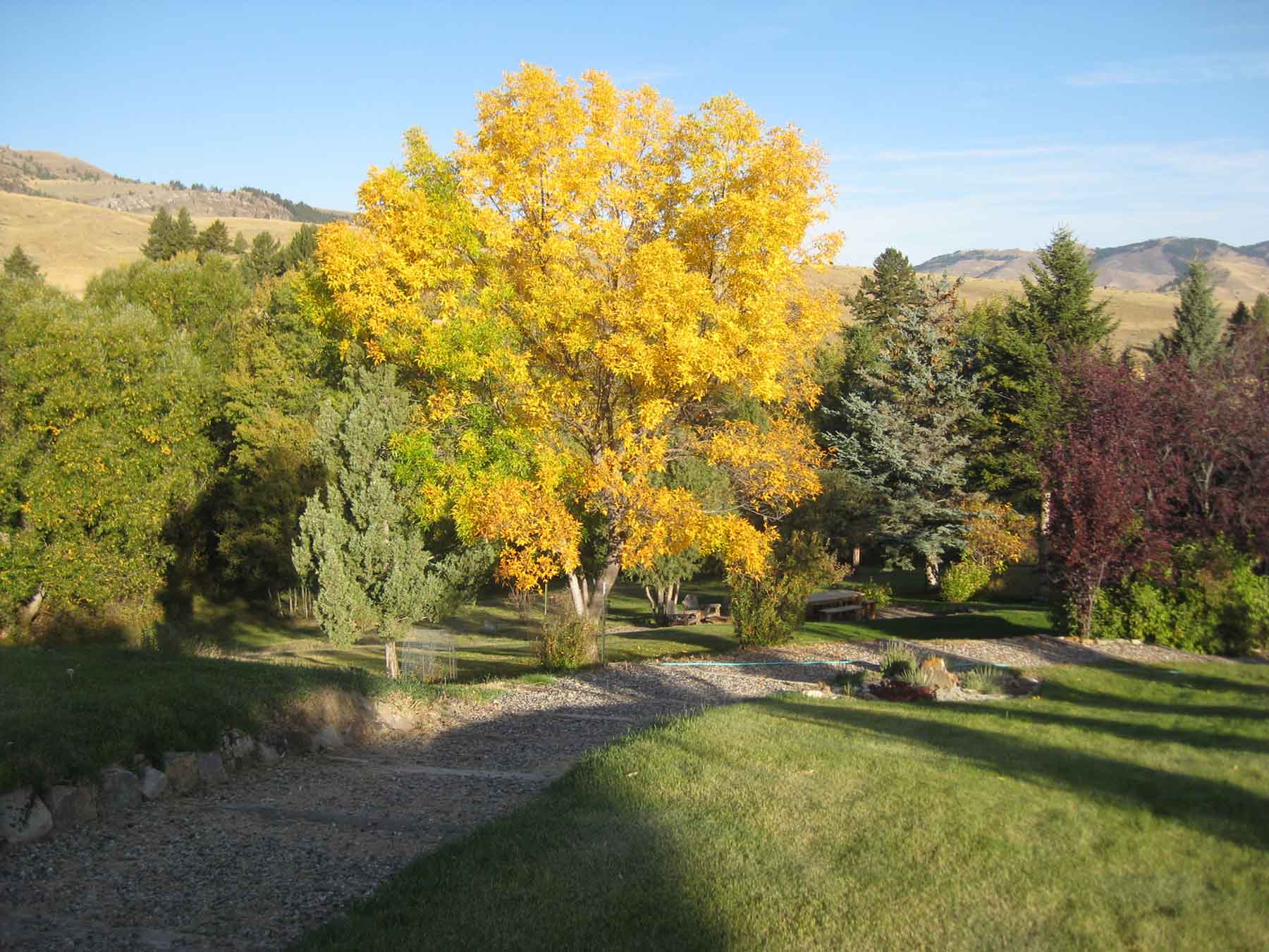 McGinley Homestead property picture 4 of 28