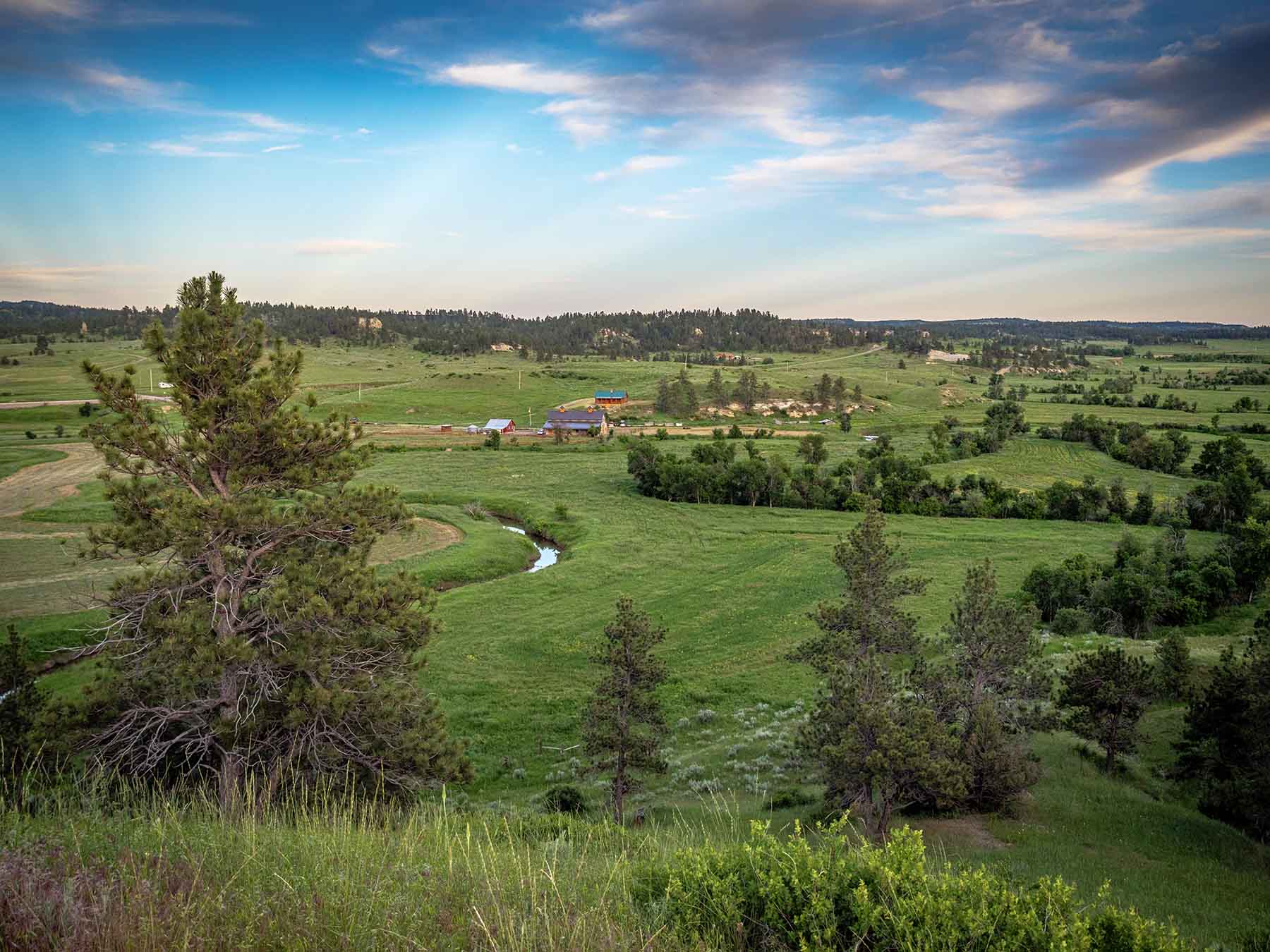 Kennedy's Roost property picture 16 of 22