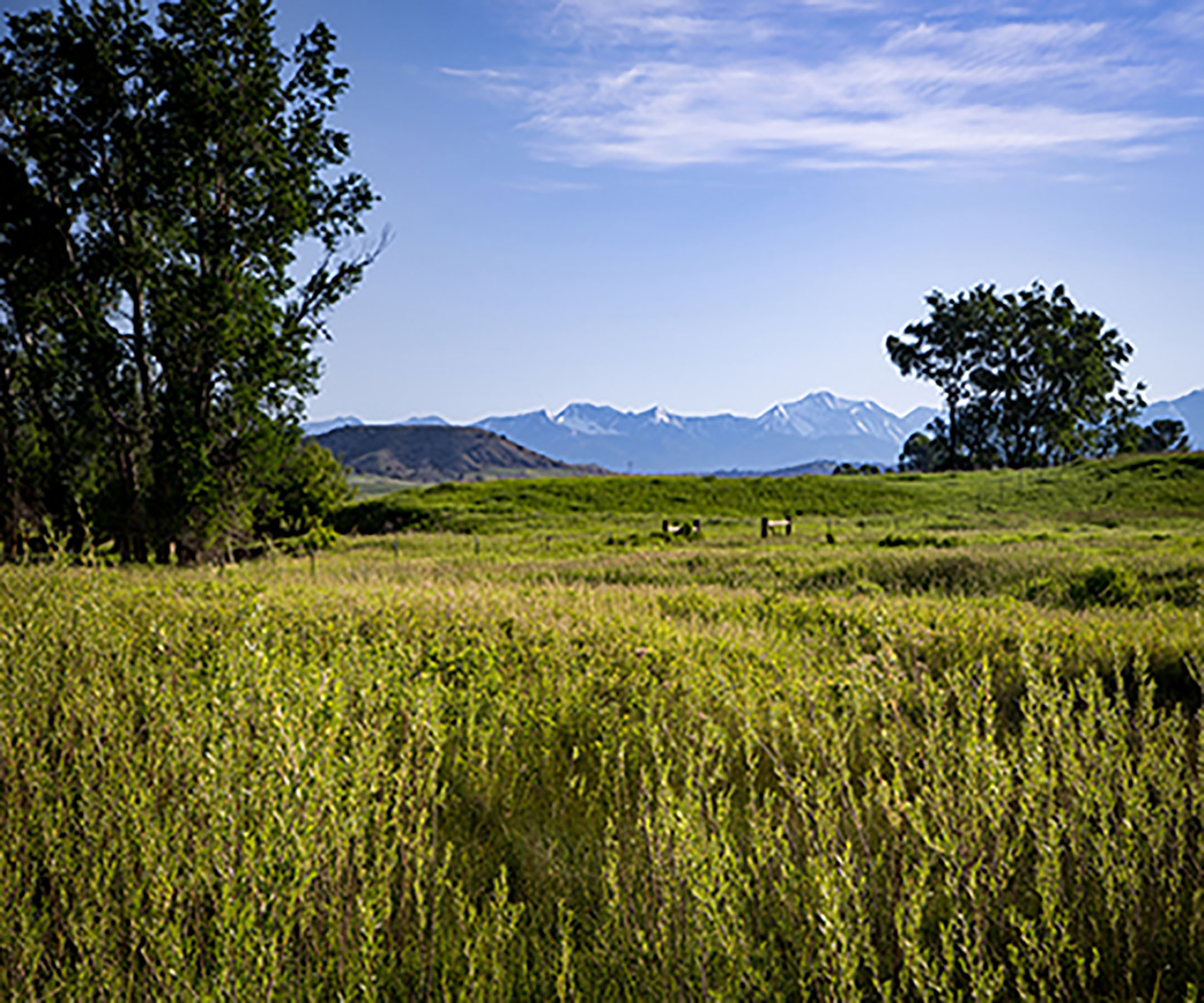 Fiddle Creek property picture 11 of 25