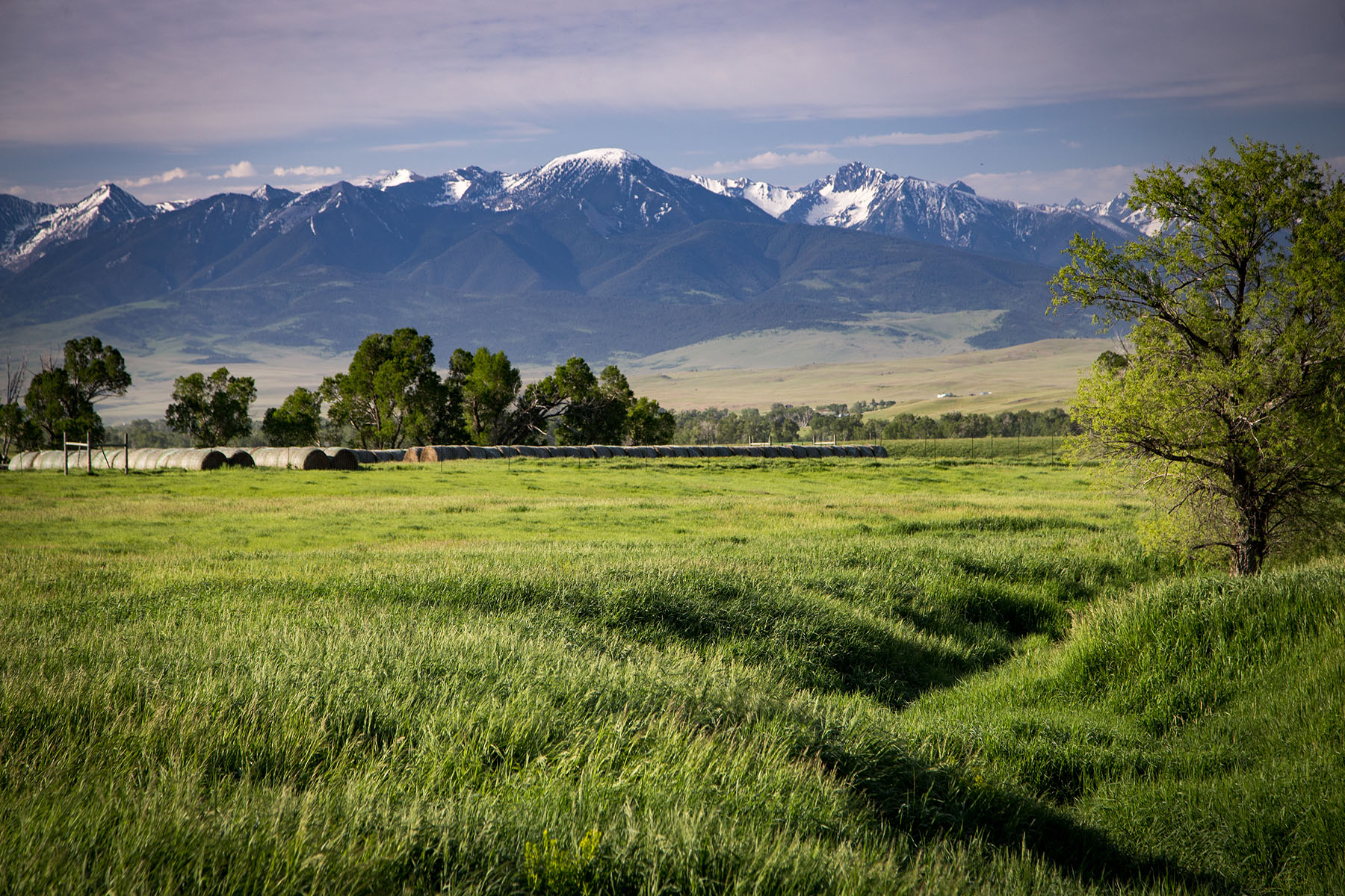 Fiddle Creek property picture 4 of 25