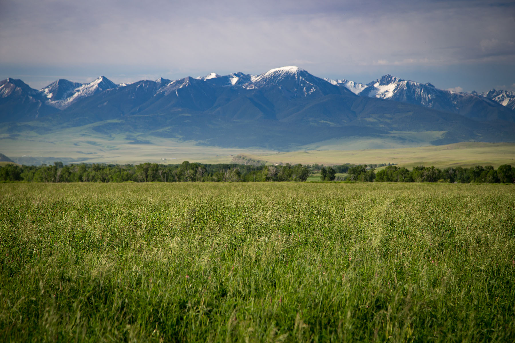 Fiddle Creek property picture 21 of 25