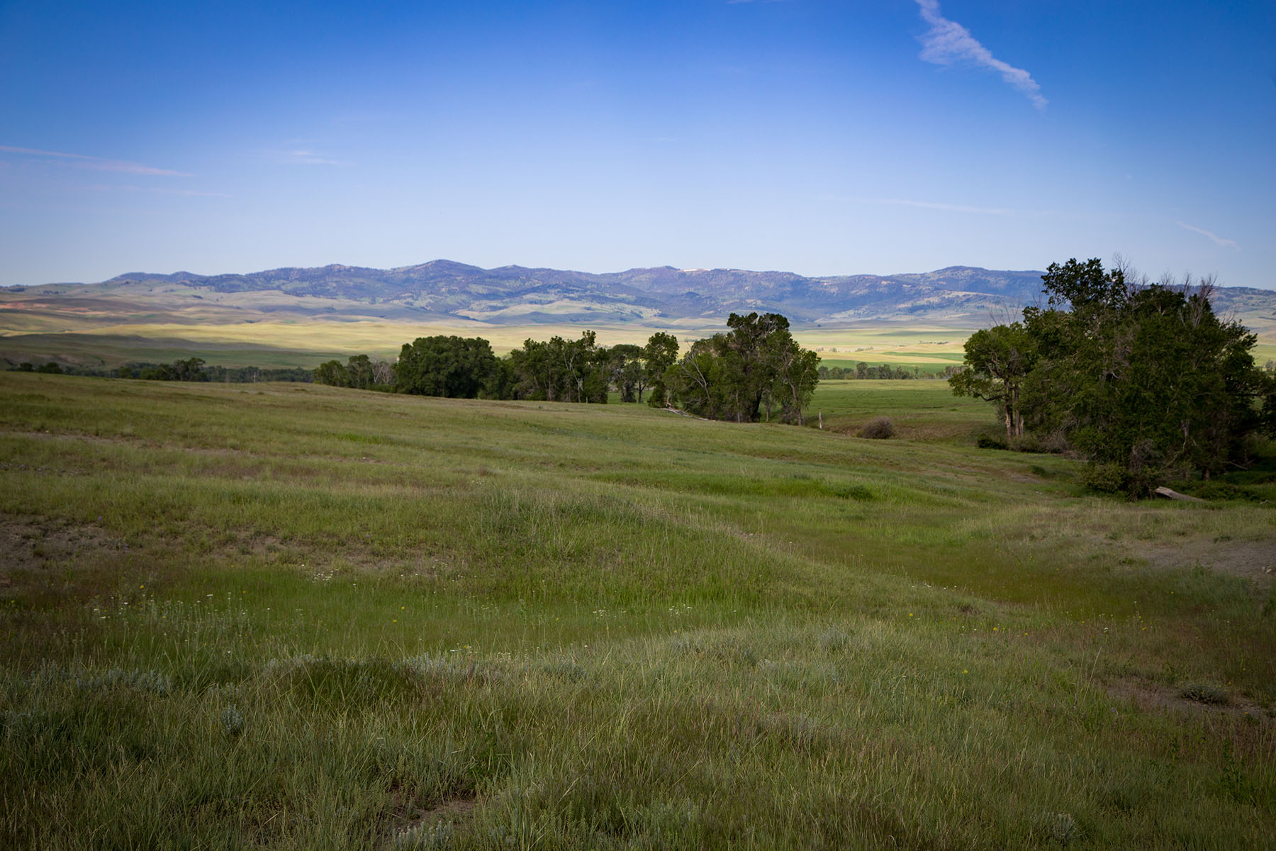 Fiddle Creek property picture 24 of 25