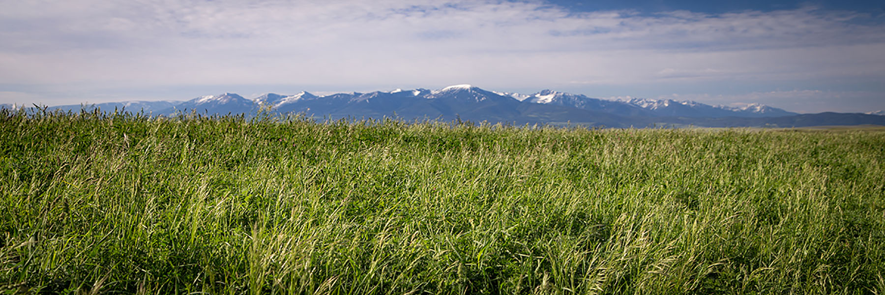 Fiddle Creek property picture 6 of 25