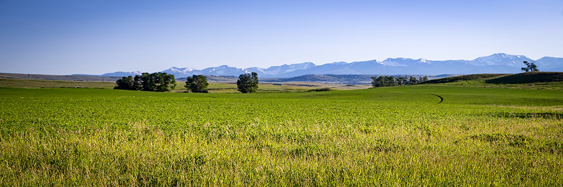 Fiddle Creek property picture 19 of 25